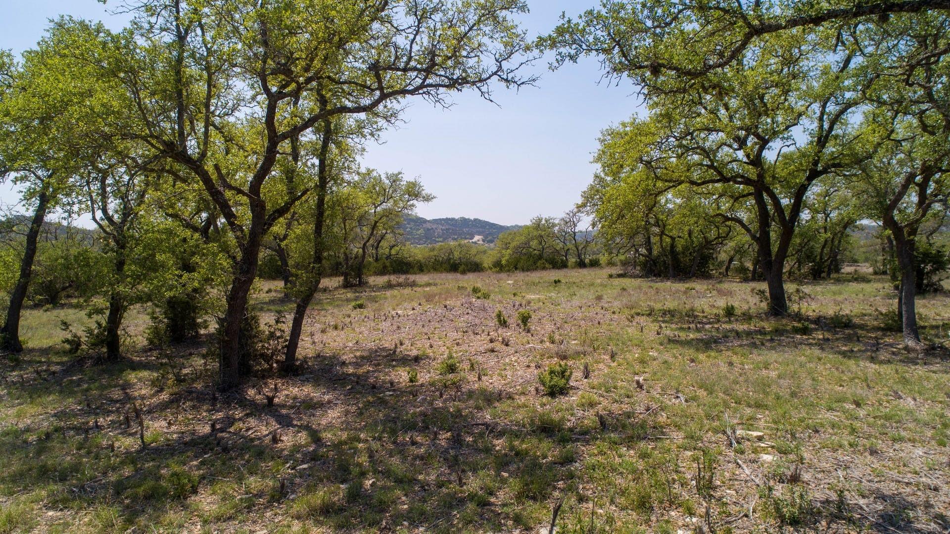 Unimproved Land