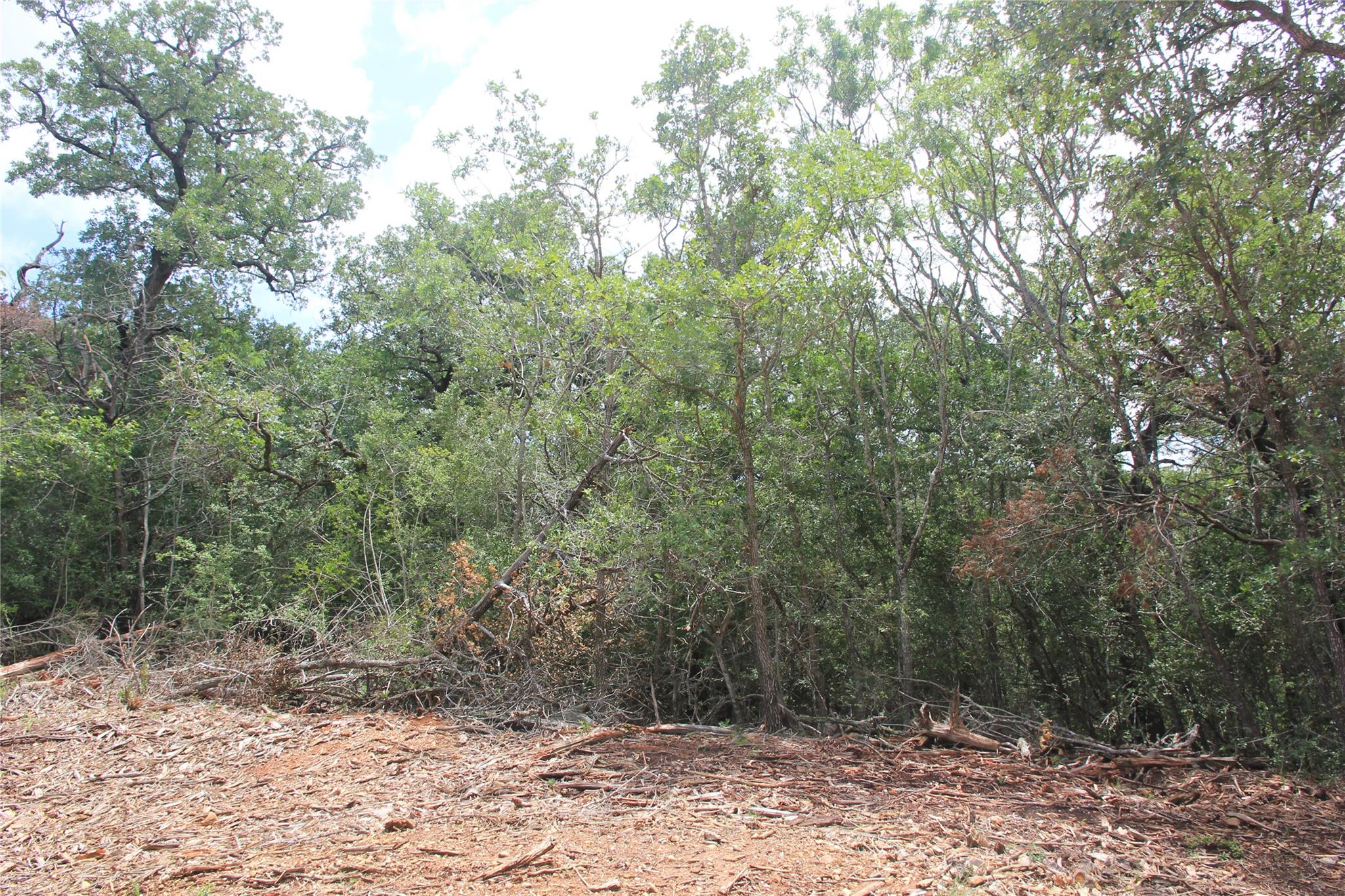 Unimproved Land