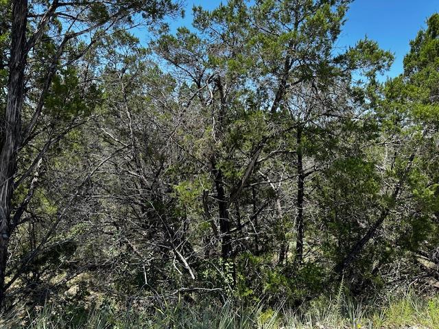 Unimproved Land