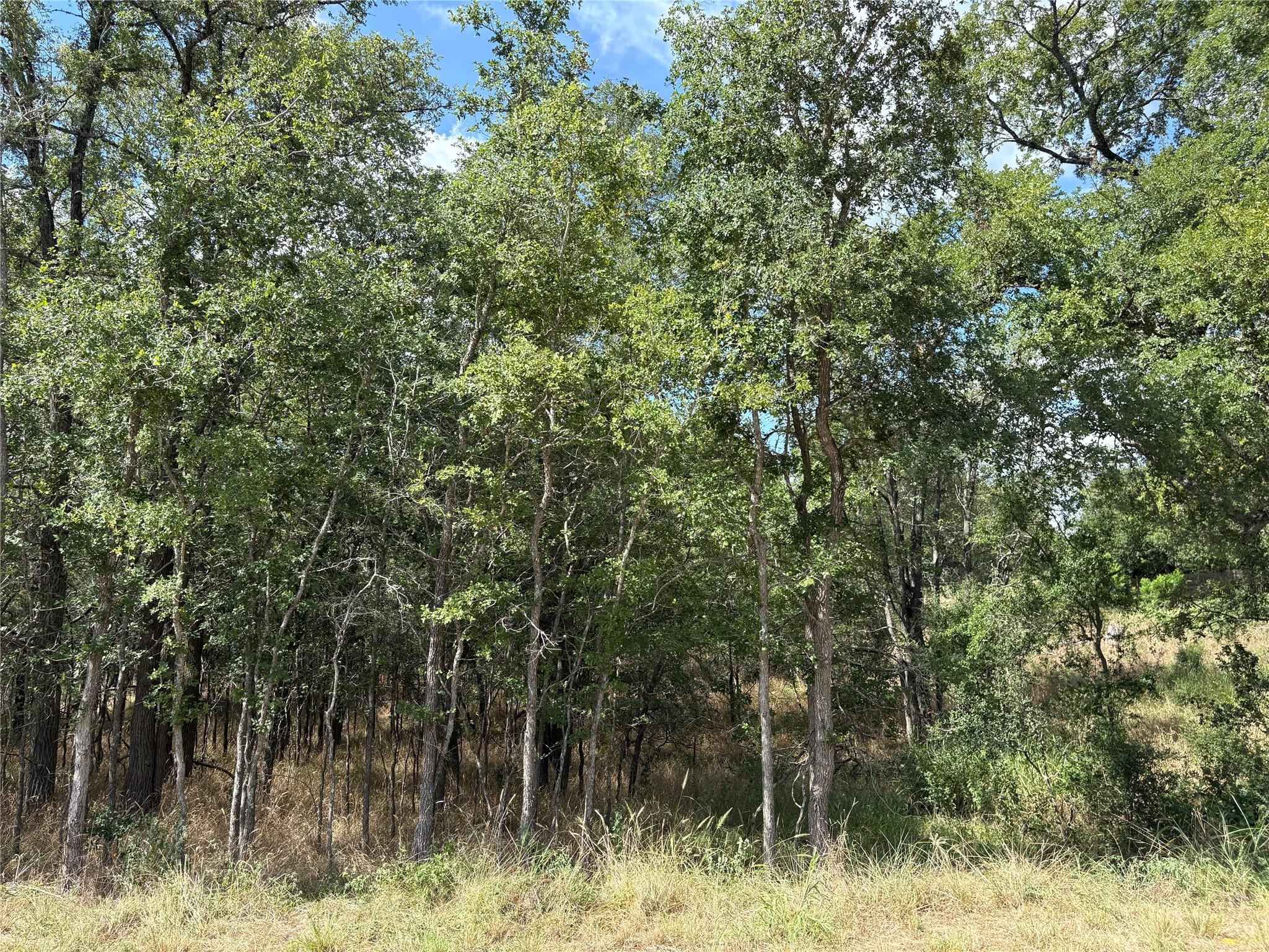 Multiple Lots (Adjacent)