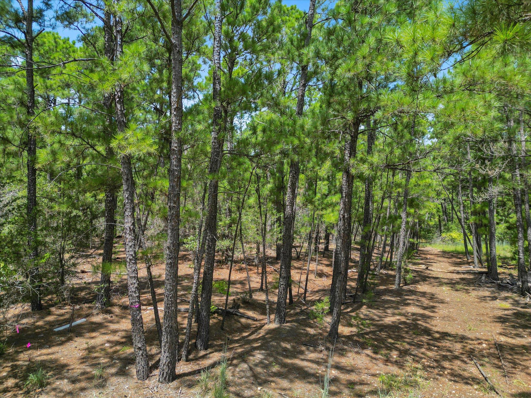 Unimproved Land