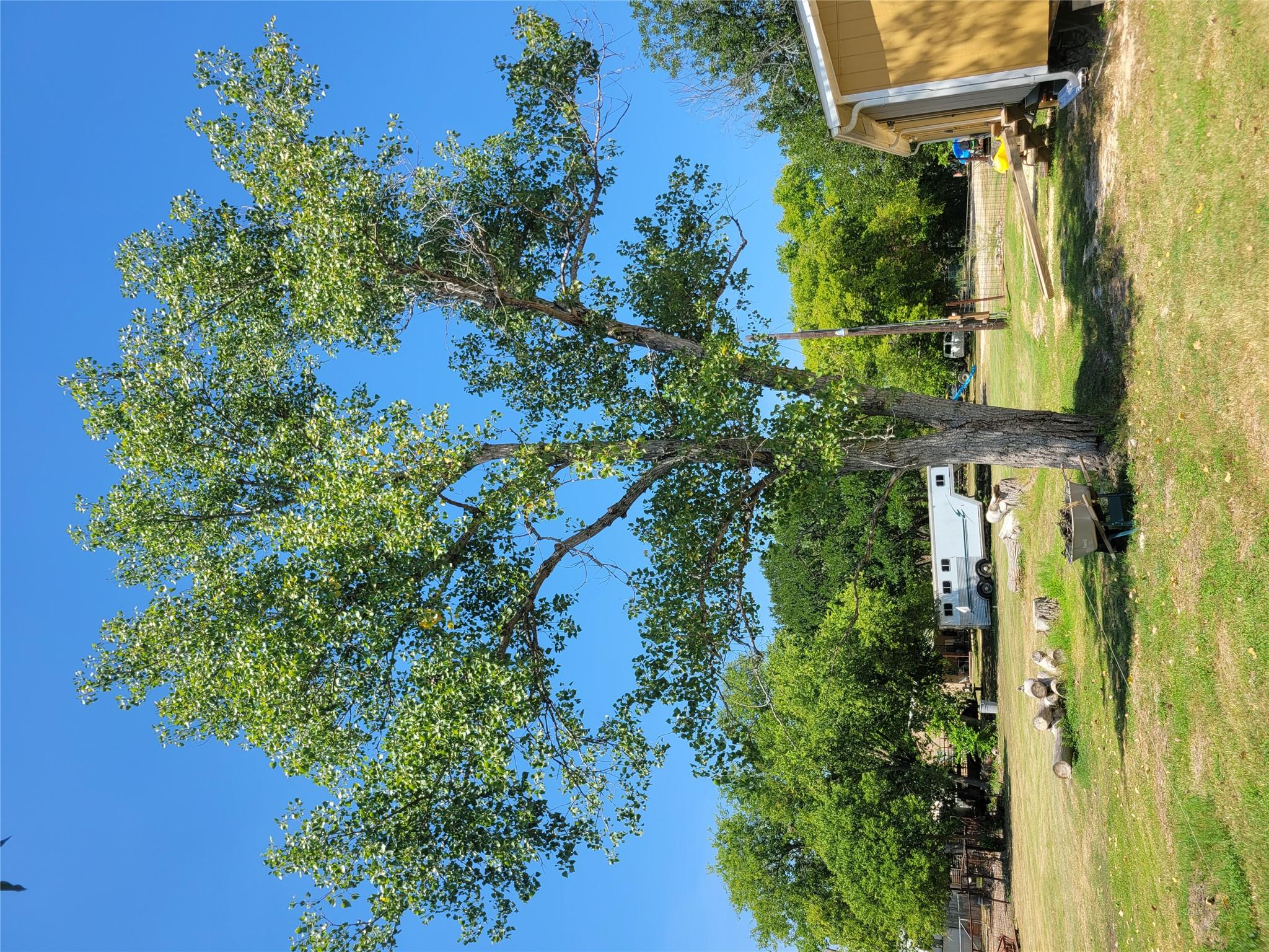 Photo 37