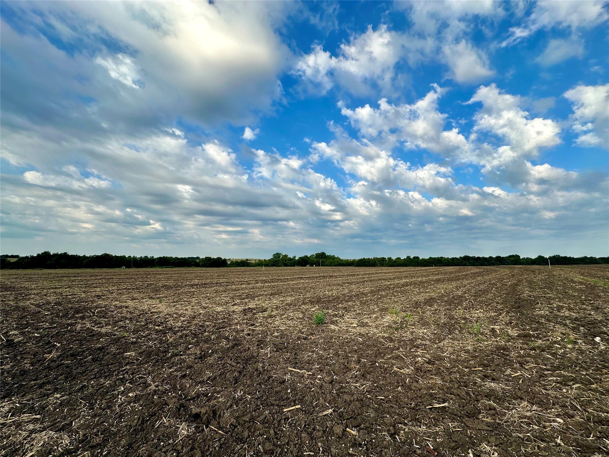 Unimproved Land