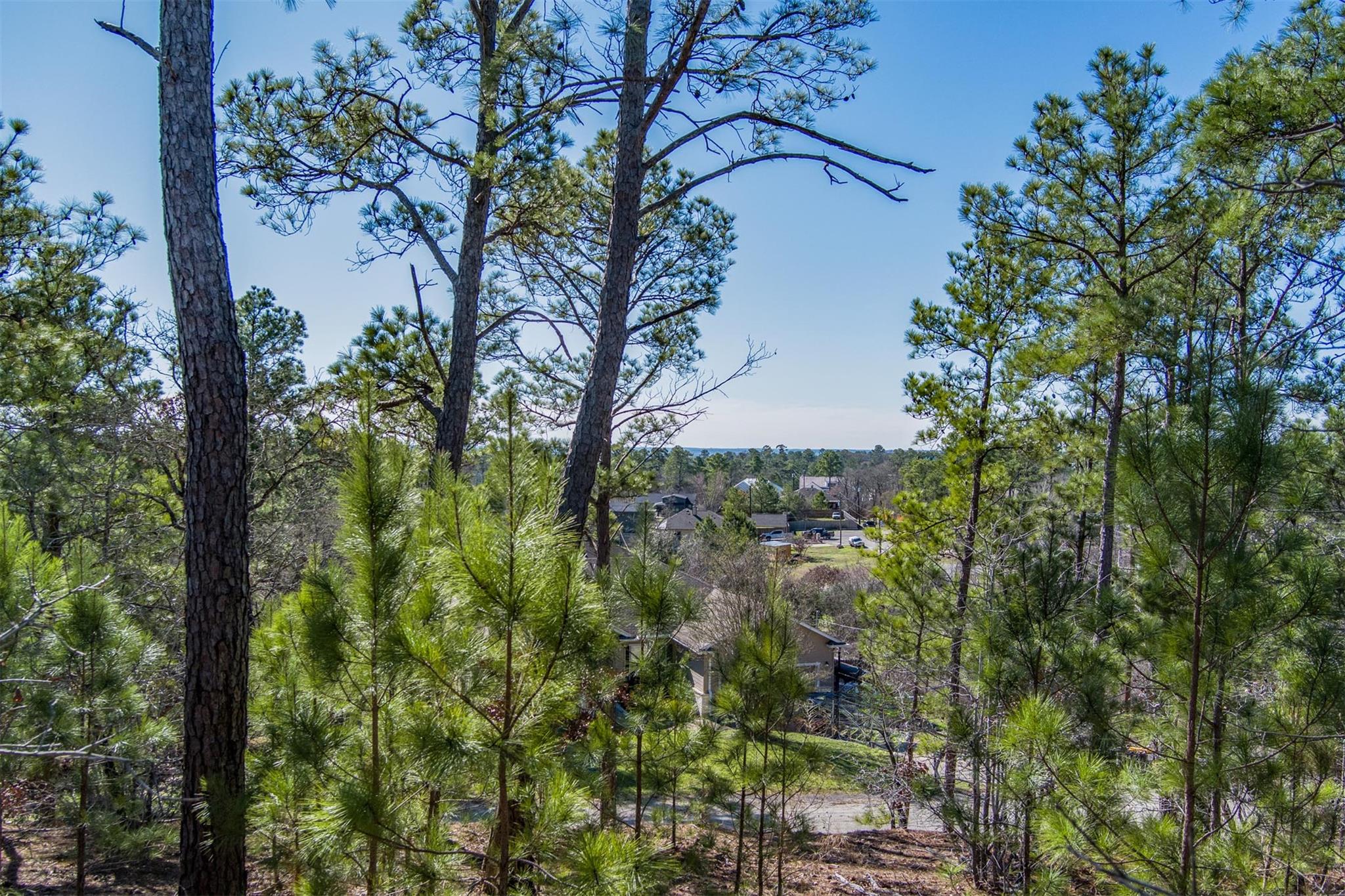 Multiple Lots (Adjacent)