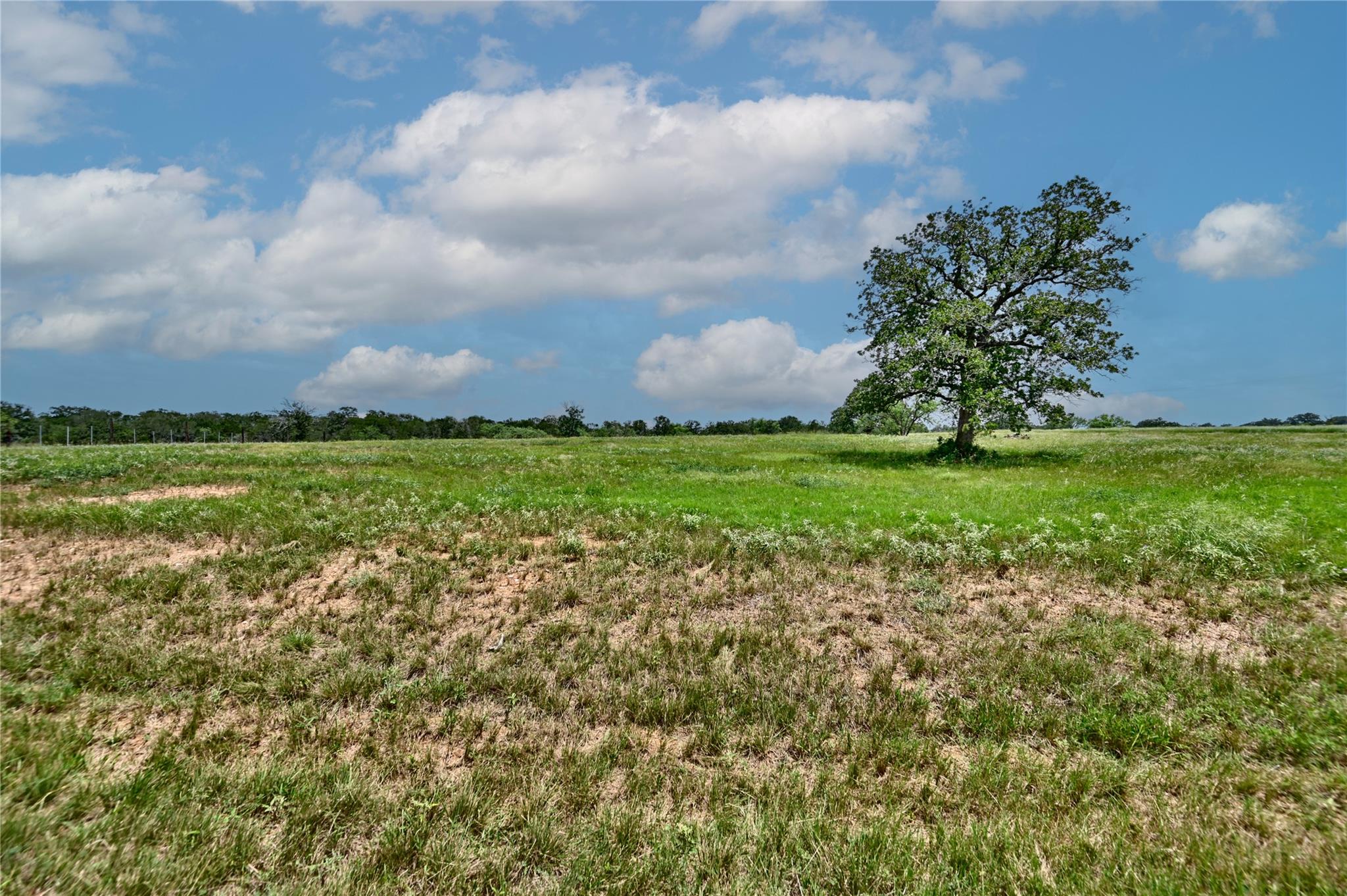 Unimproved Land