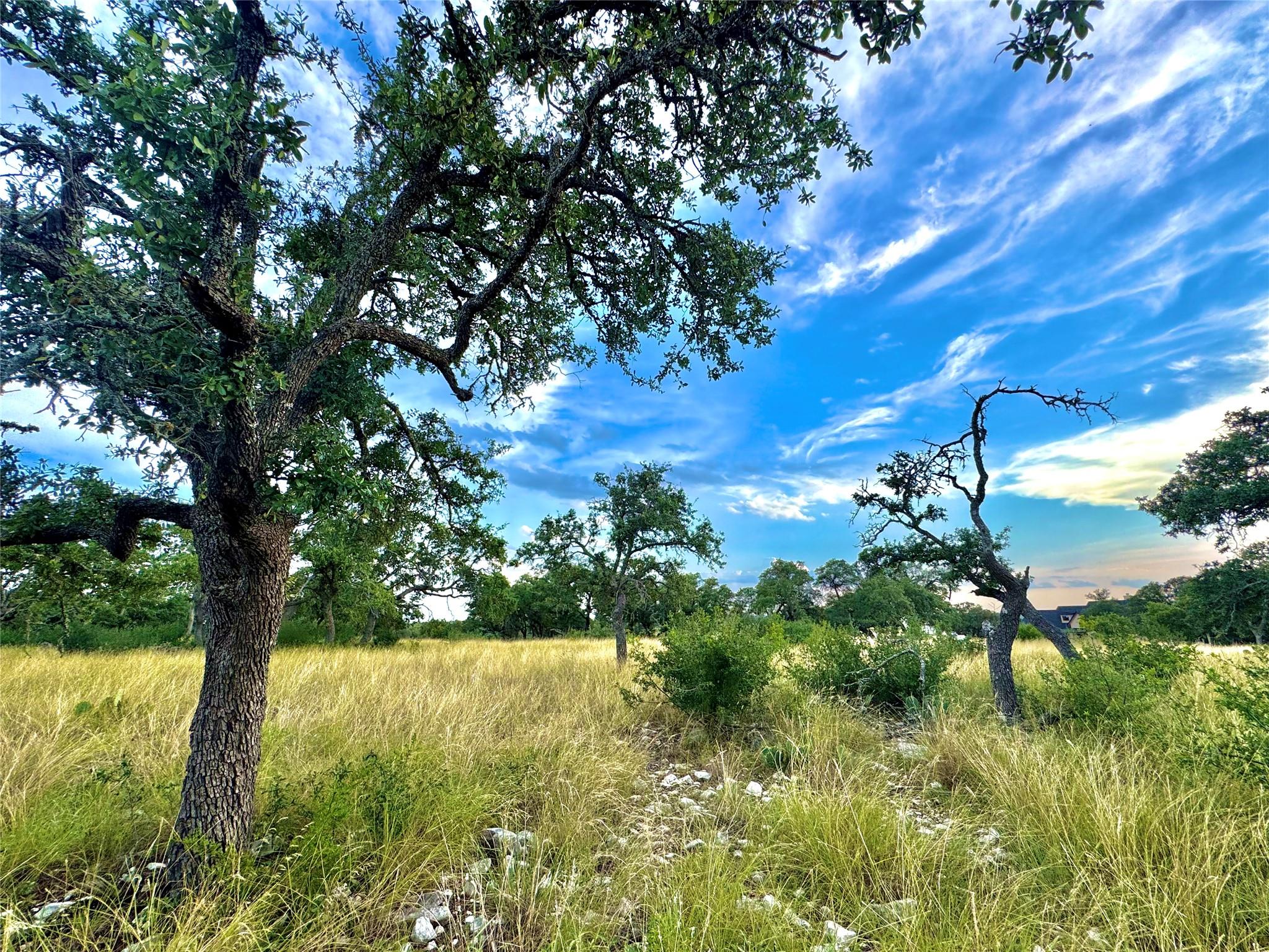 Unimproved Land