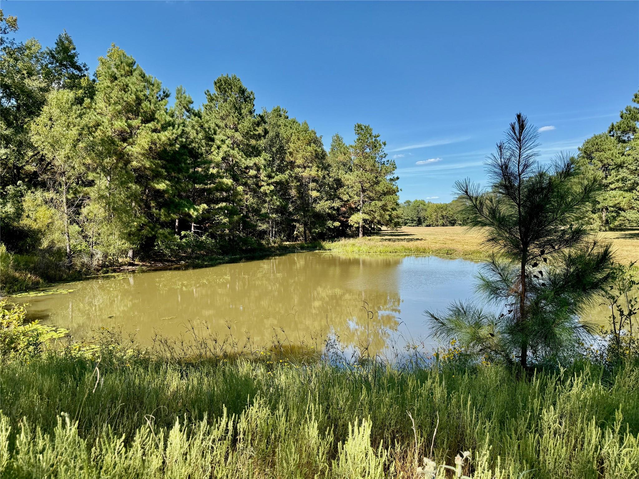 Multiple Lots (Adjacent)