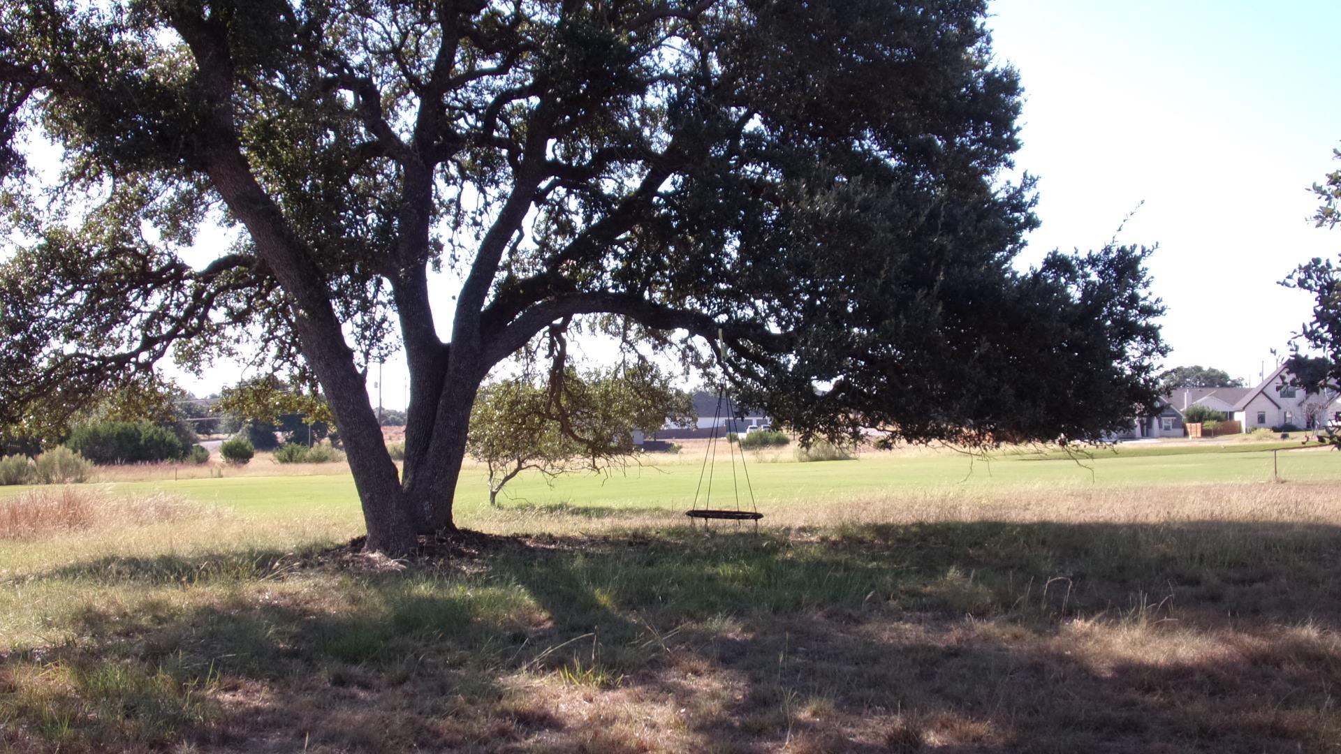 Unimproved Land