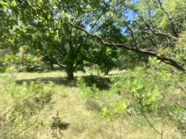 Multiple Lots (Adjacent)