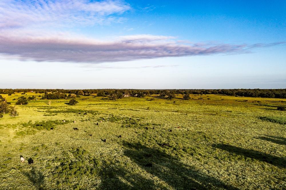 2993 County Road 320