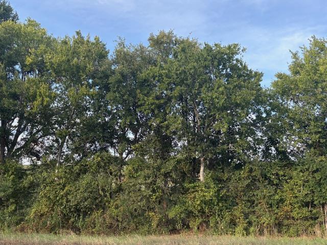 Multiple Lots (Adjacent)