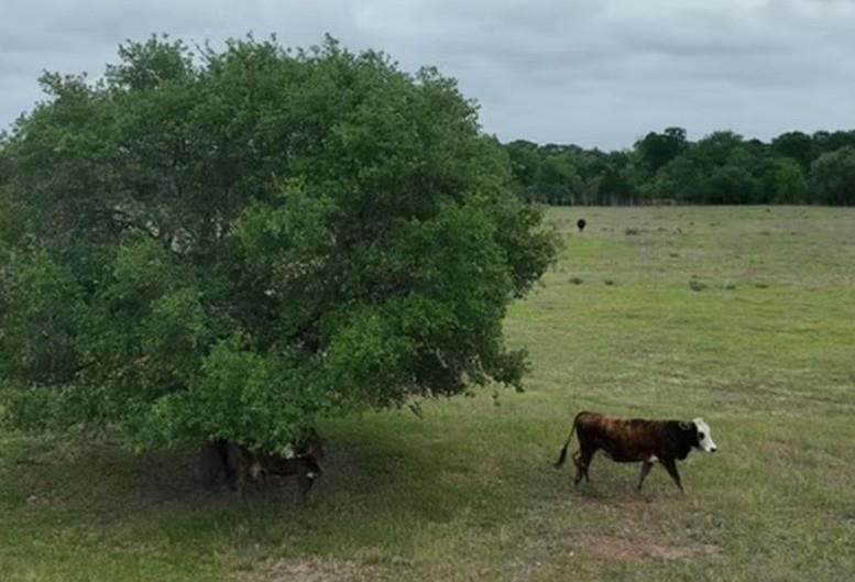 Lot 5 TBD County Road 127