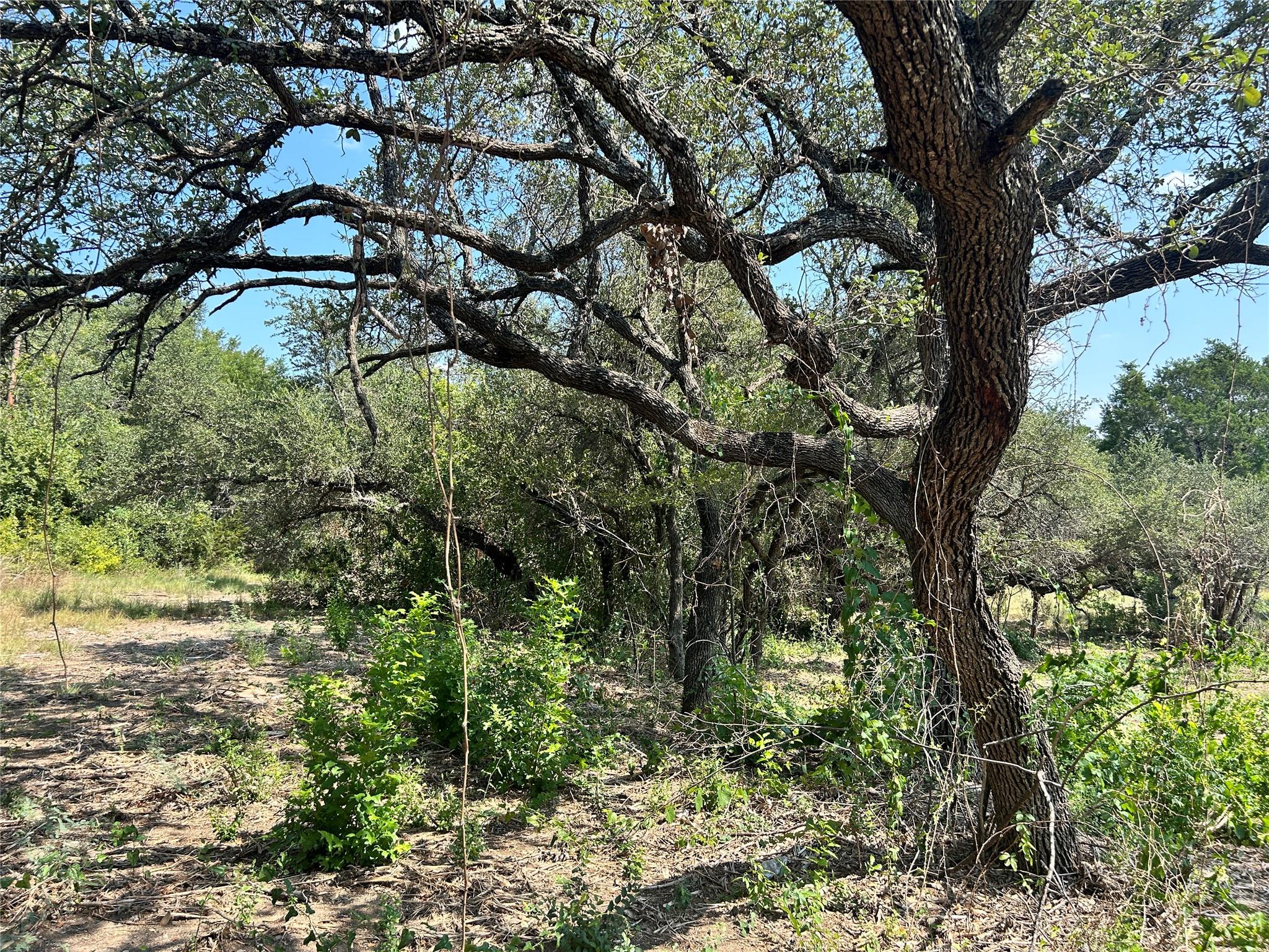 Unimproved Land