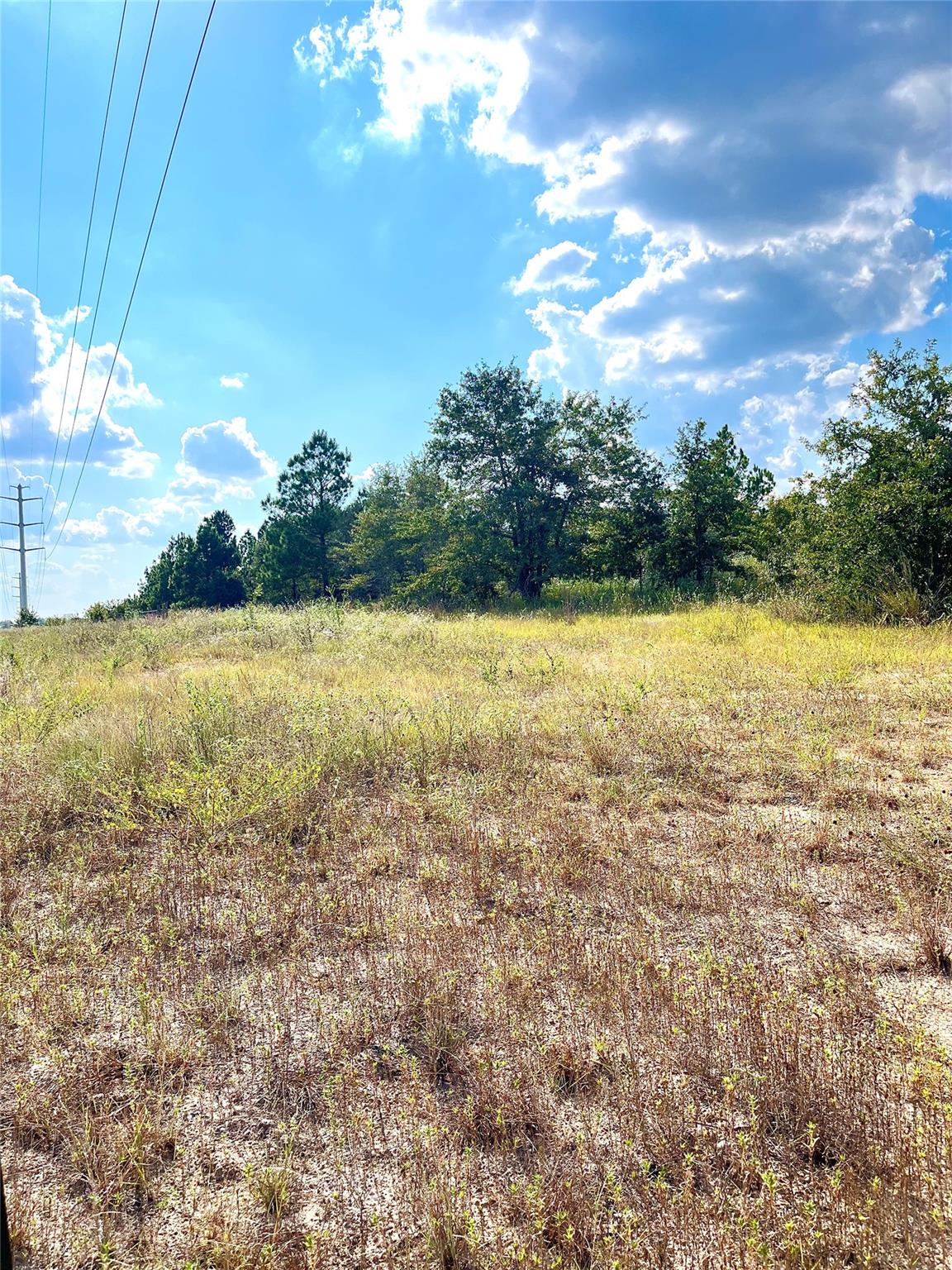 Unimproved Land