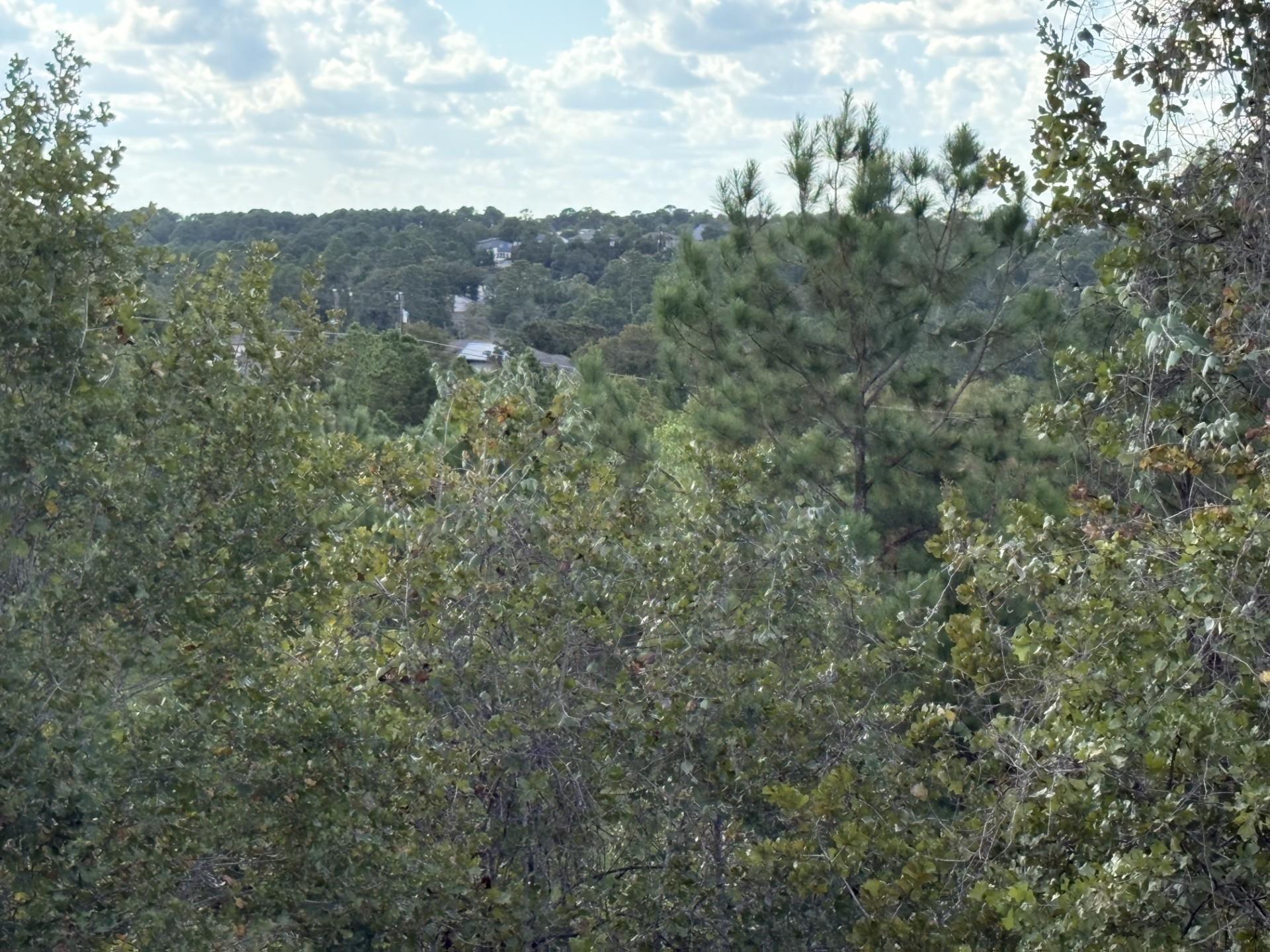 Unimproved Land