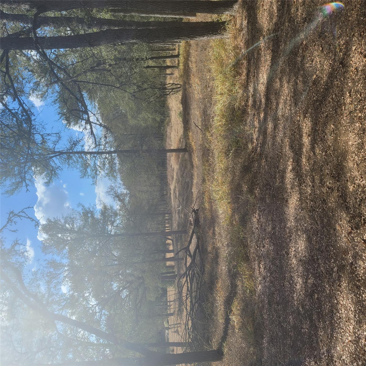 Unimproved Land