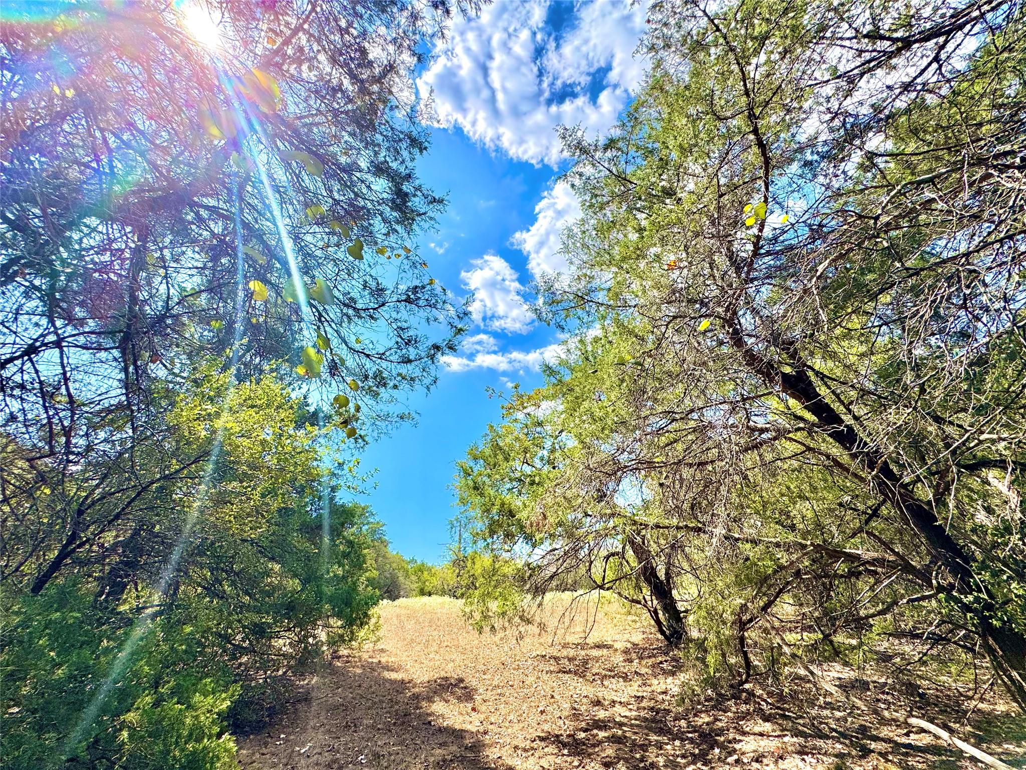 TBD 50.62 Acres Rabel