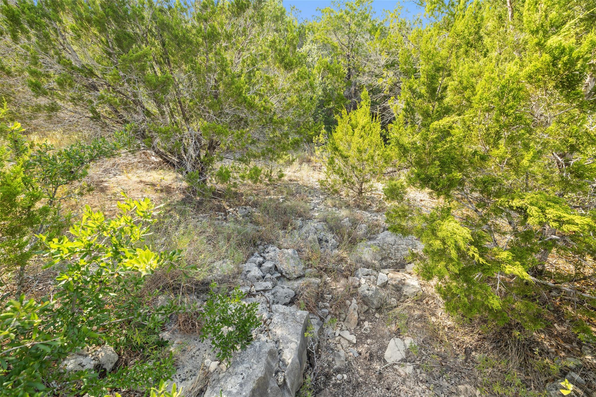 Photo 25