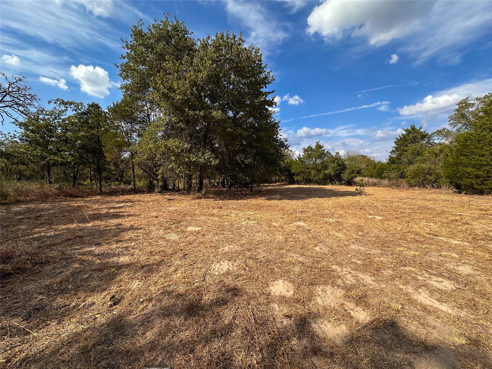 Unimproved Land