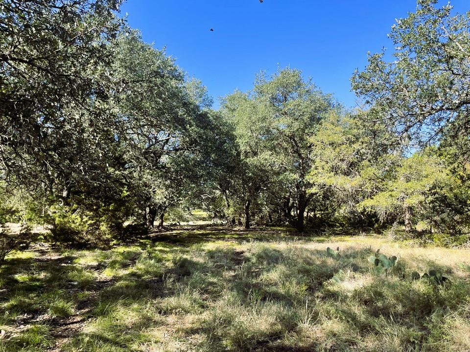 Ranch