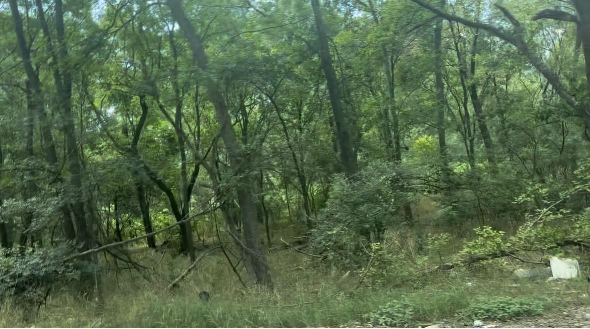 Multiple Lots (Adjacent)