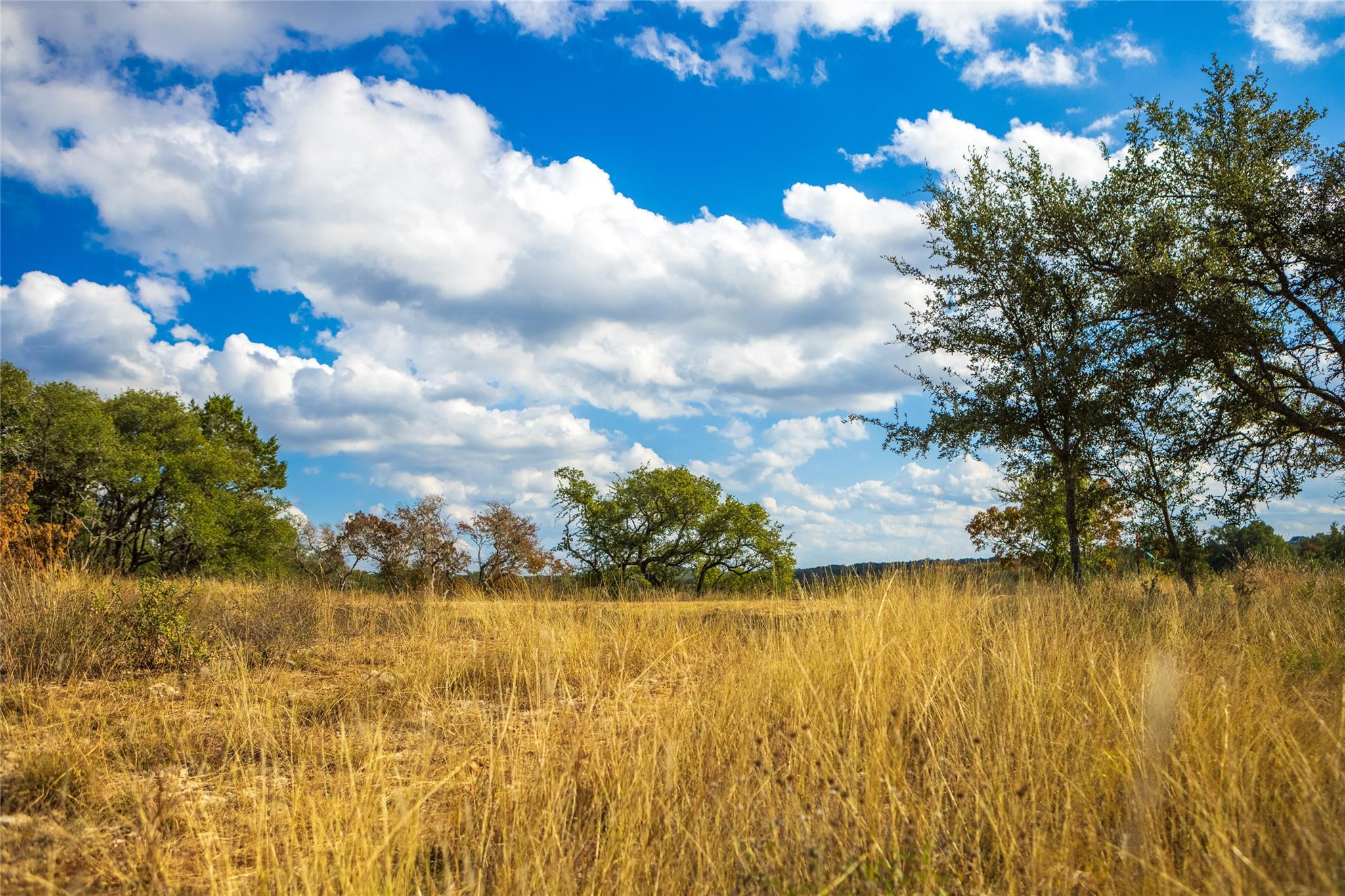 Unimproved Land