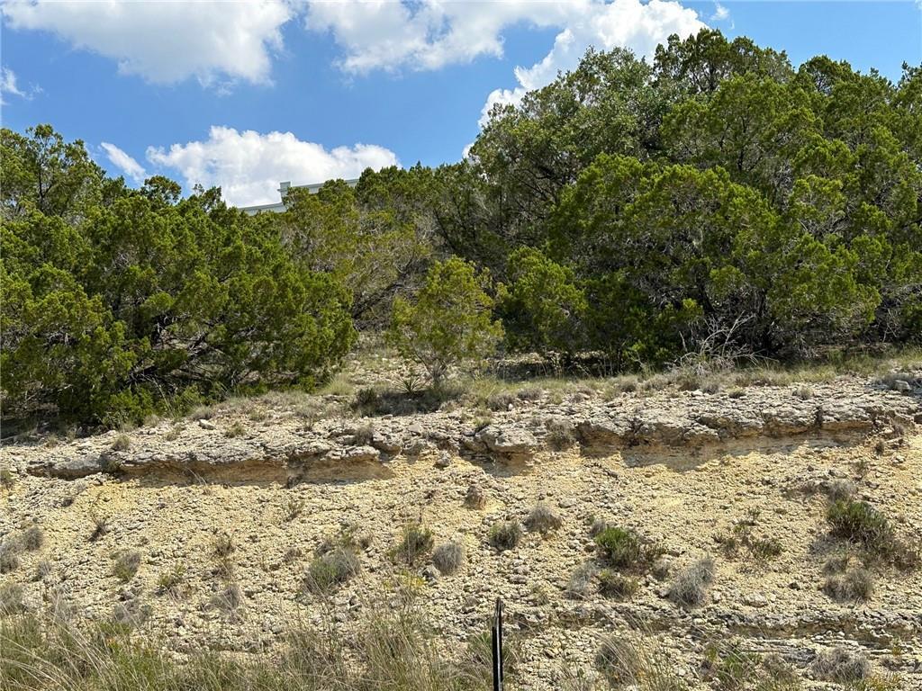 Unimproved Land