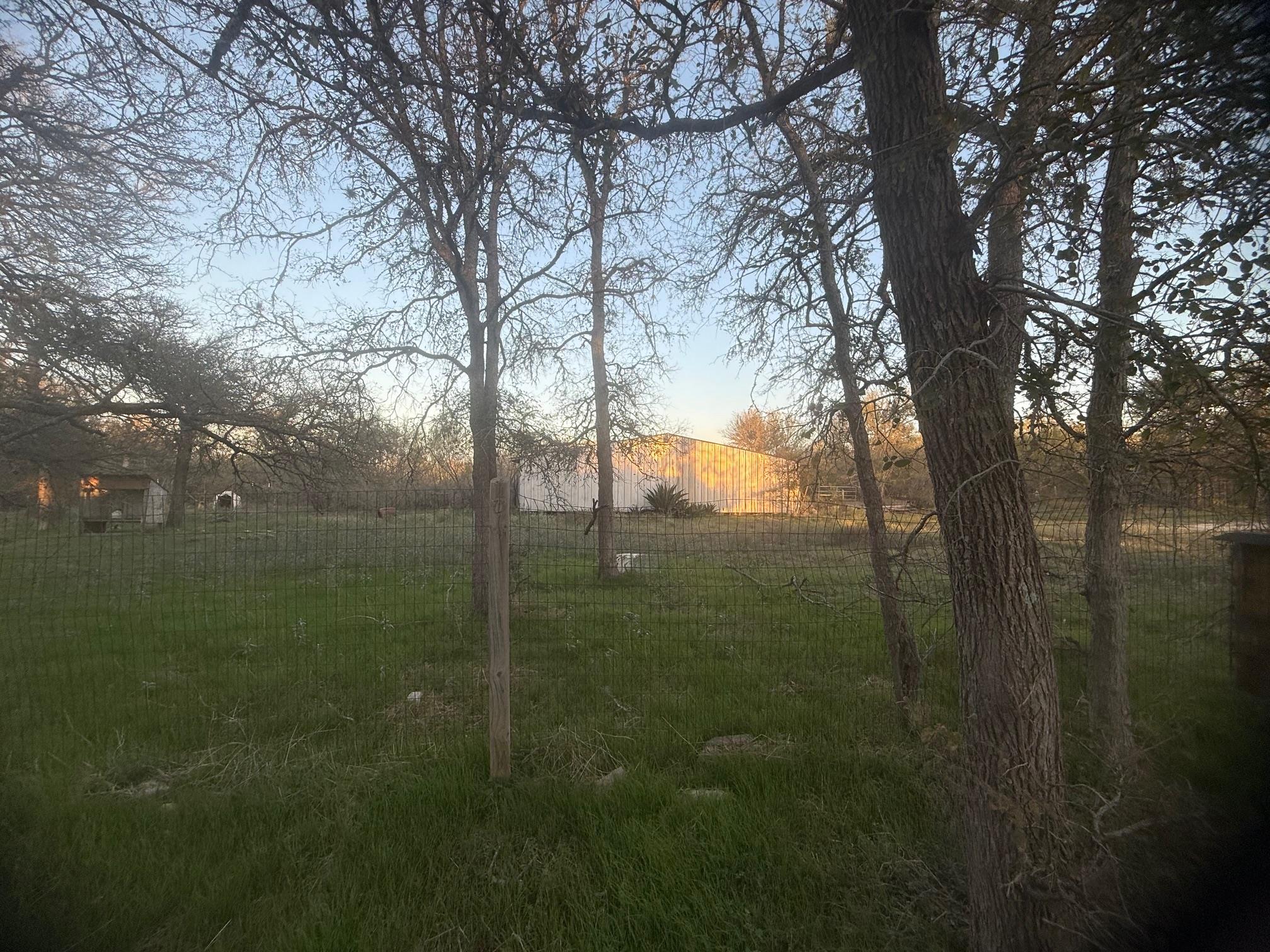 Photo 31