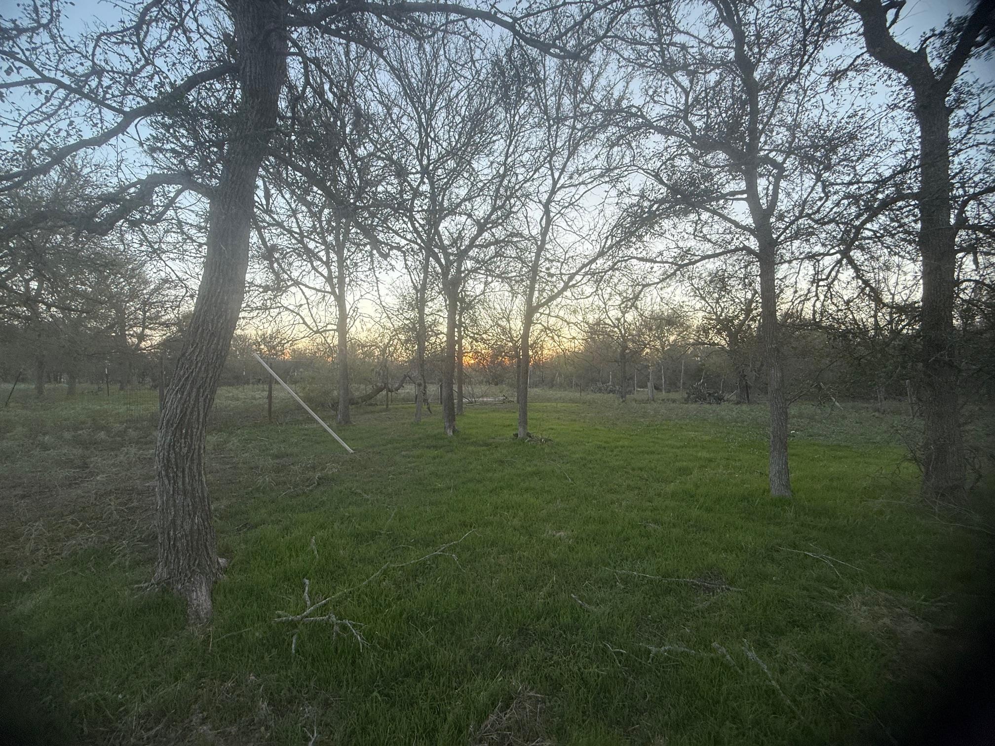 Photo 38