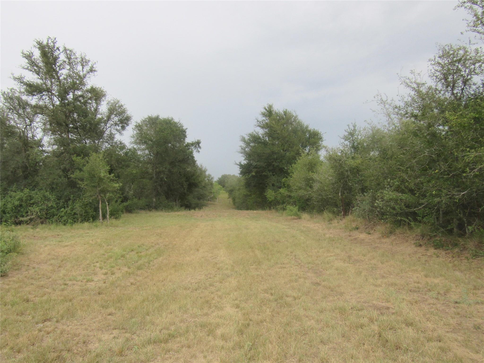 Photo 39