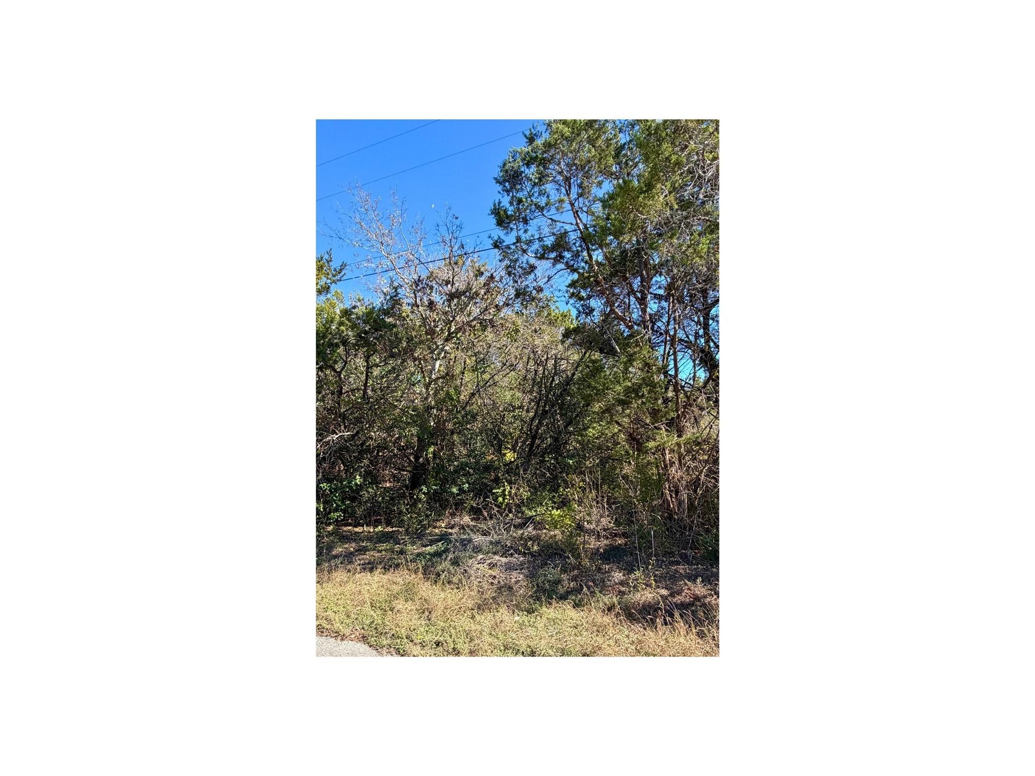 Unimproved Land