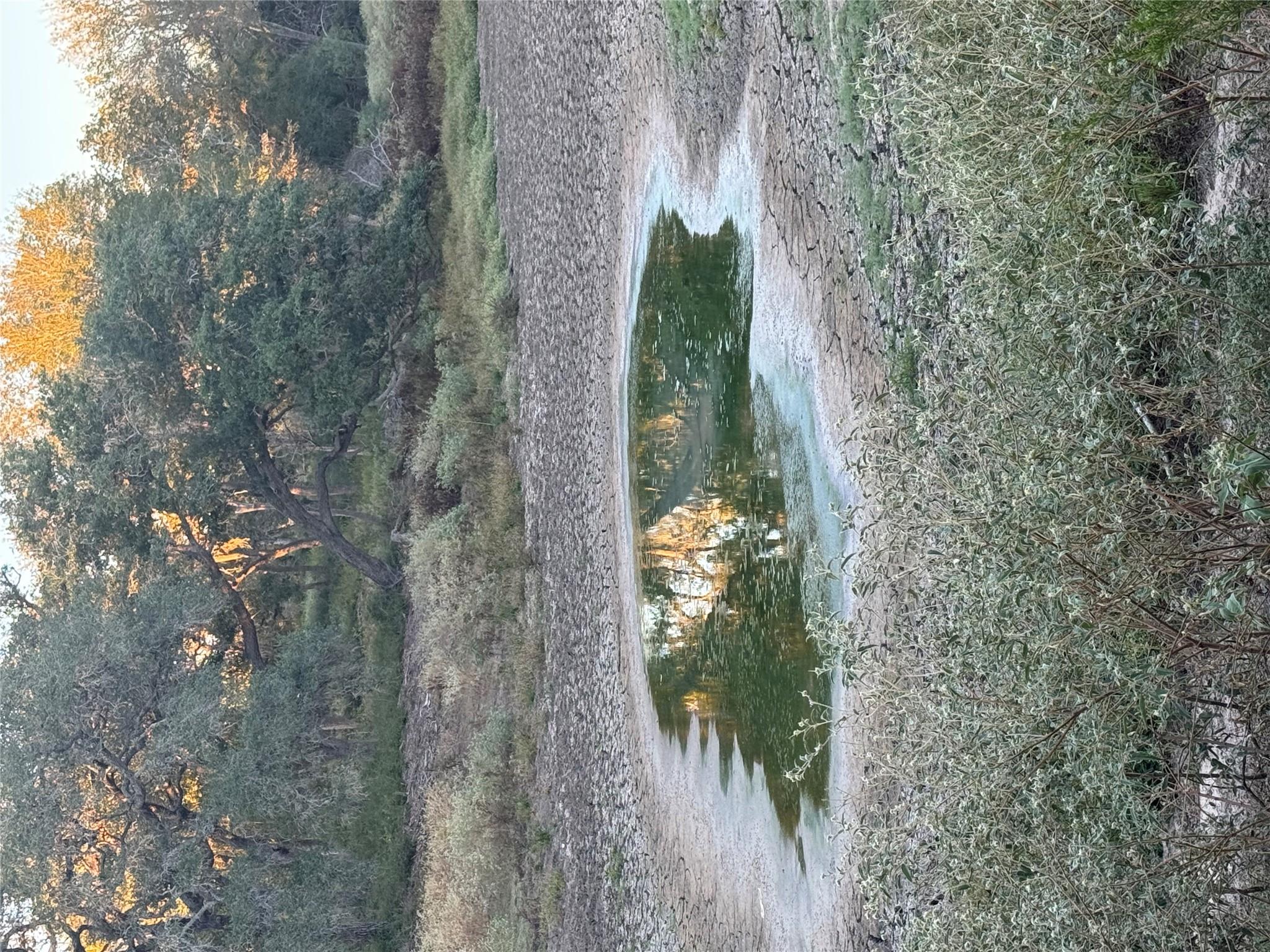 Photo 34