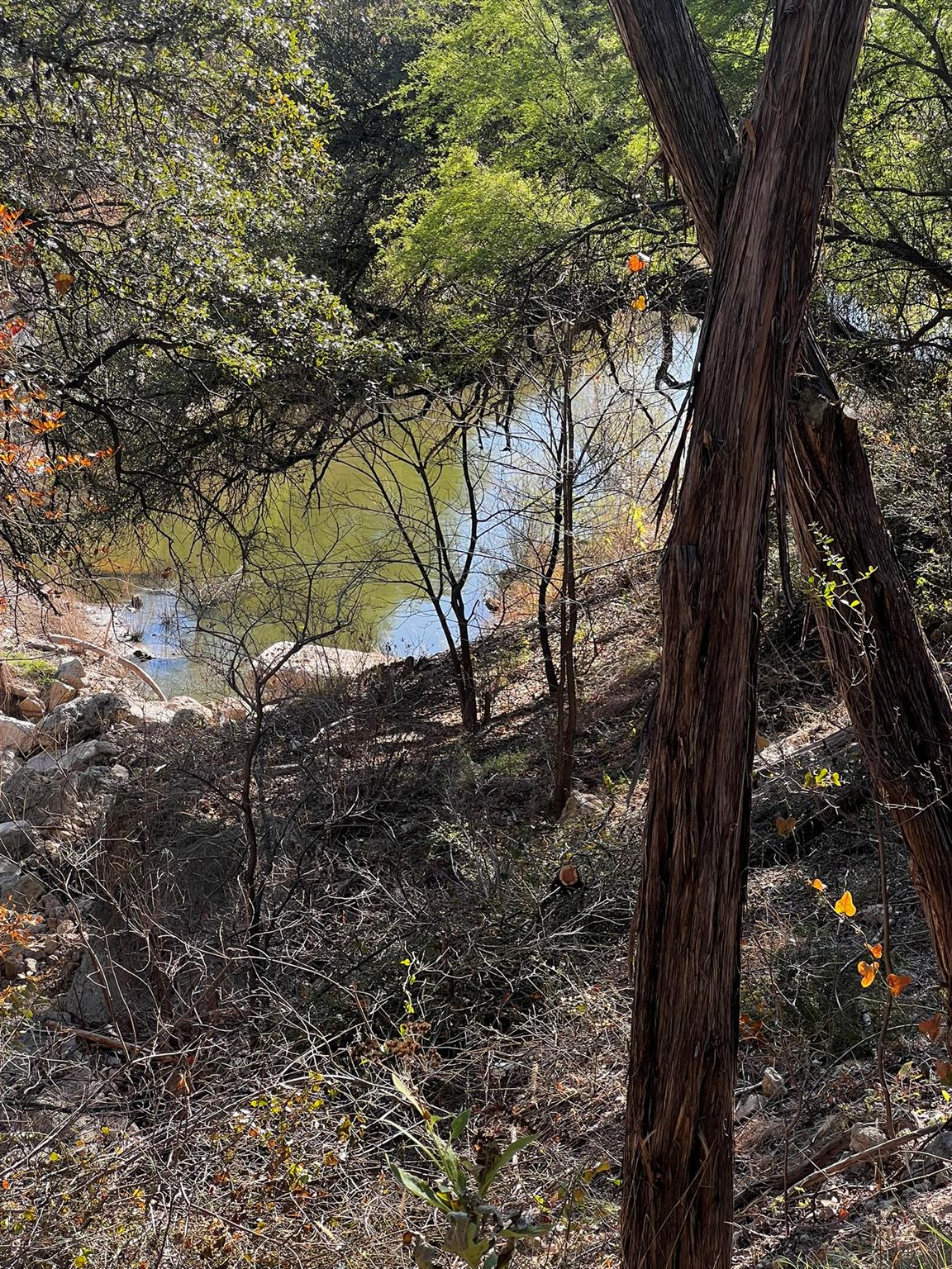 26809 Blue Cove Road Blue Cove