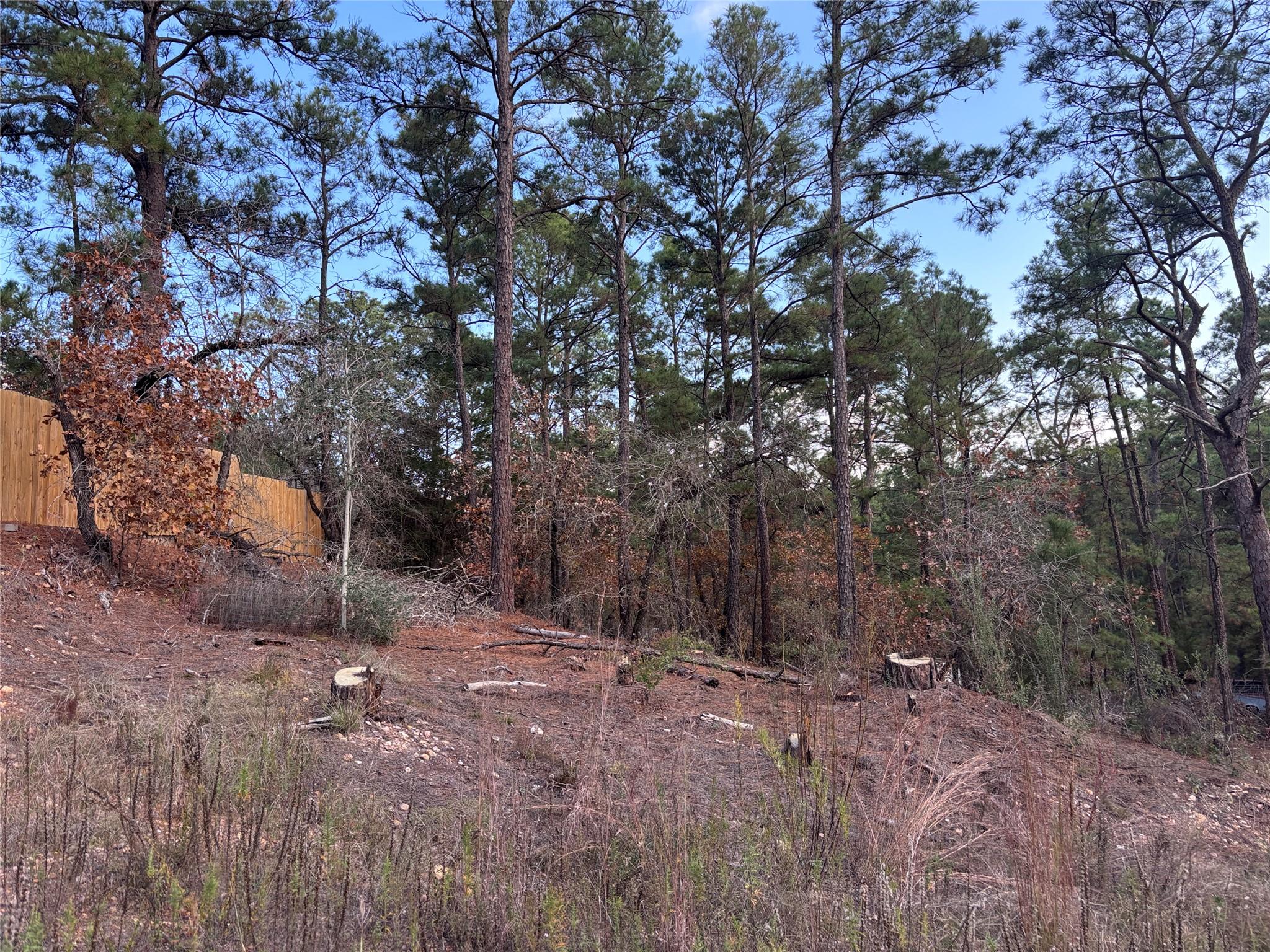 Multiple Lots (Adjacent)