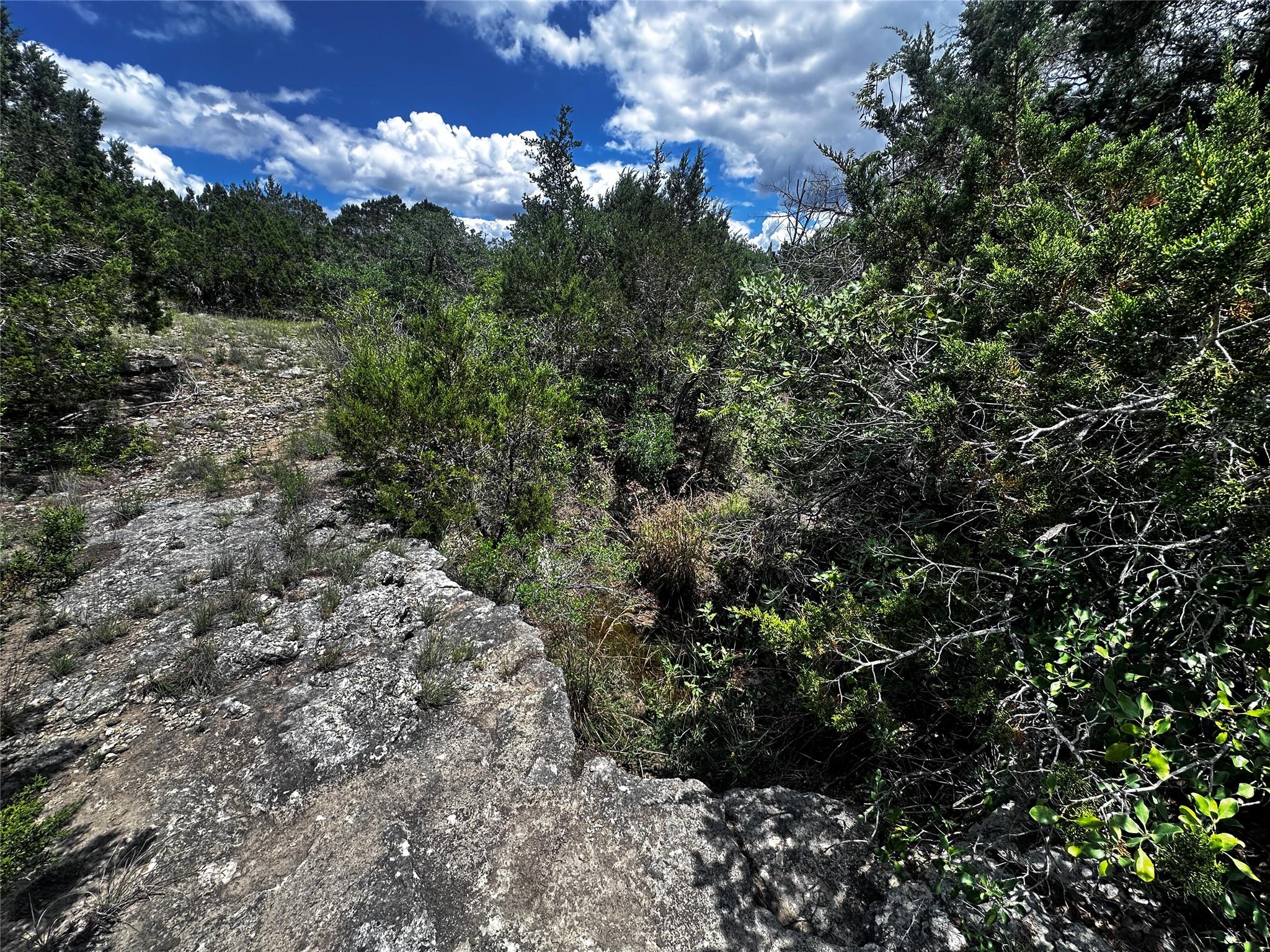 Unimproved Land