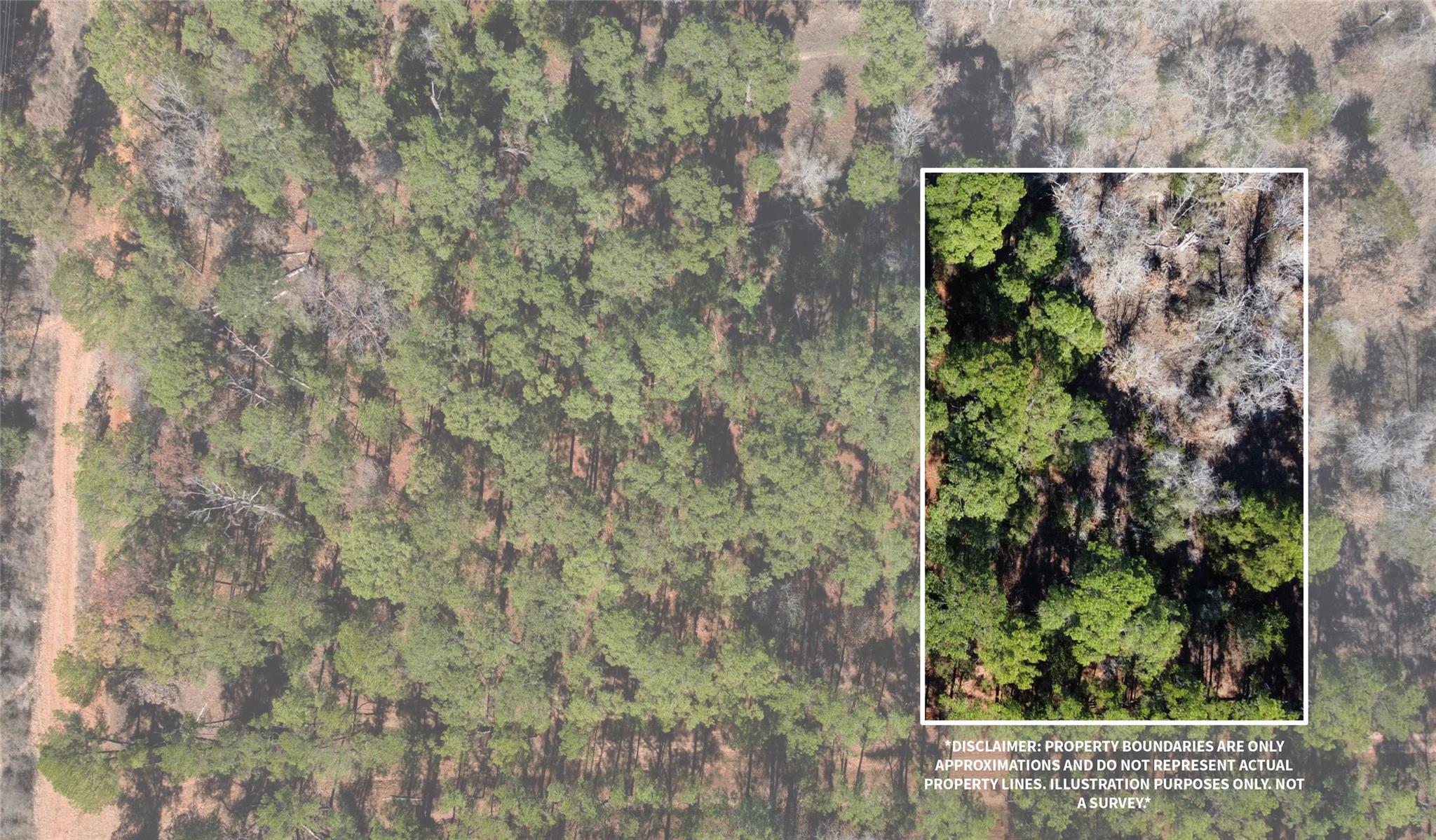 0 Pine Lodge Drive Lot 26