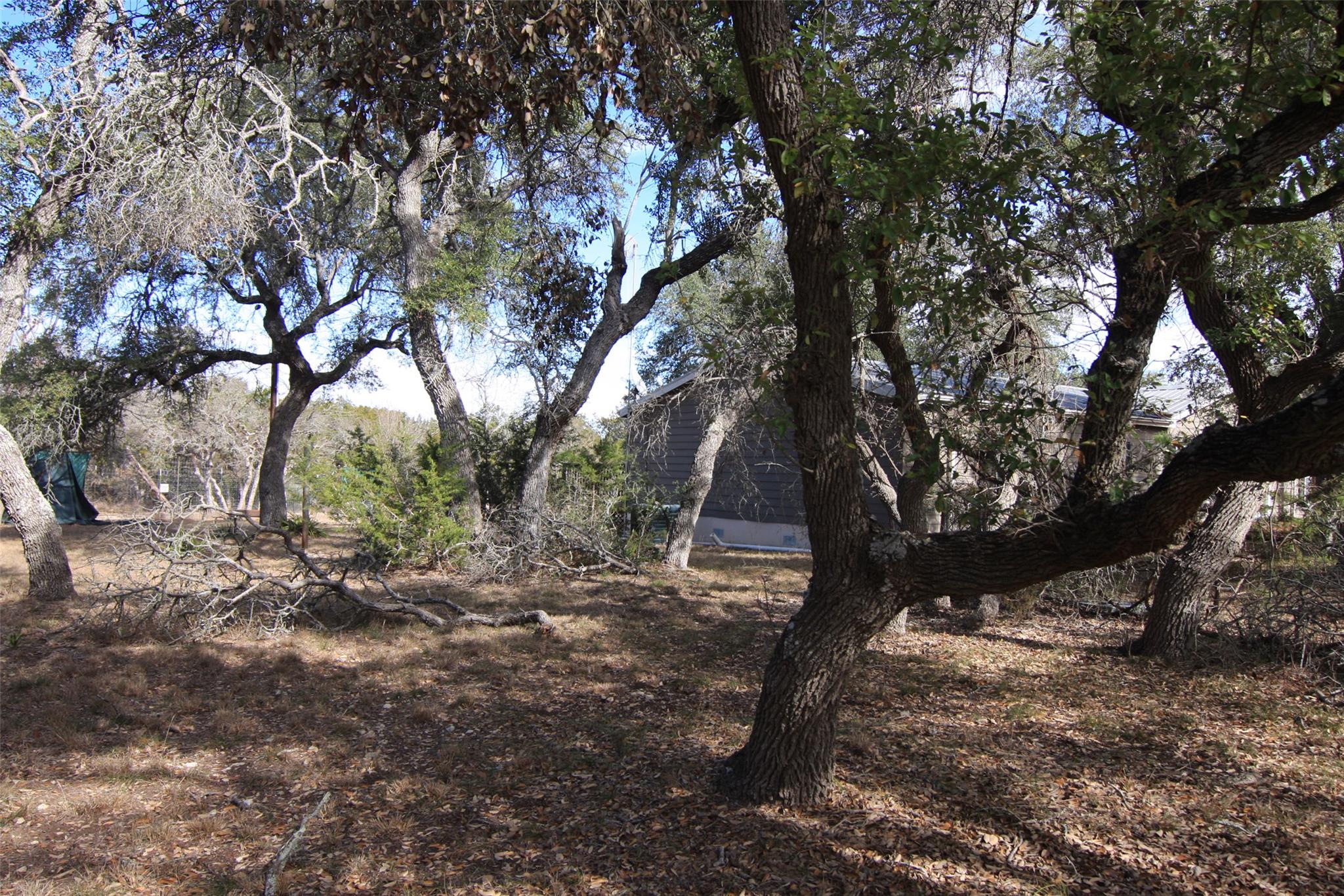 Photo 29