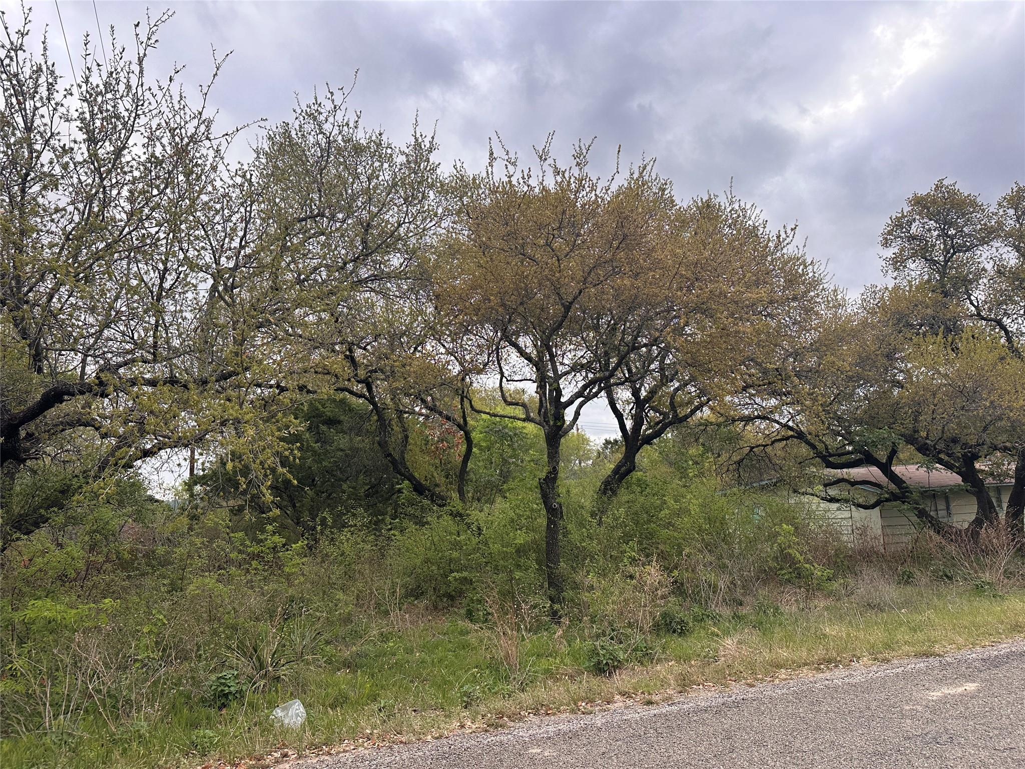 10509 Lakeview