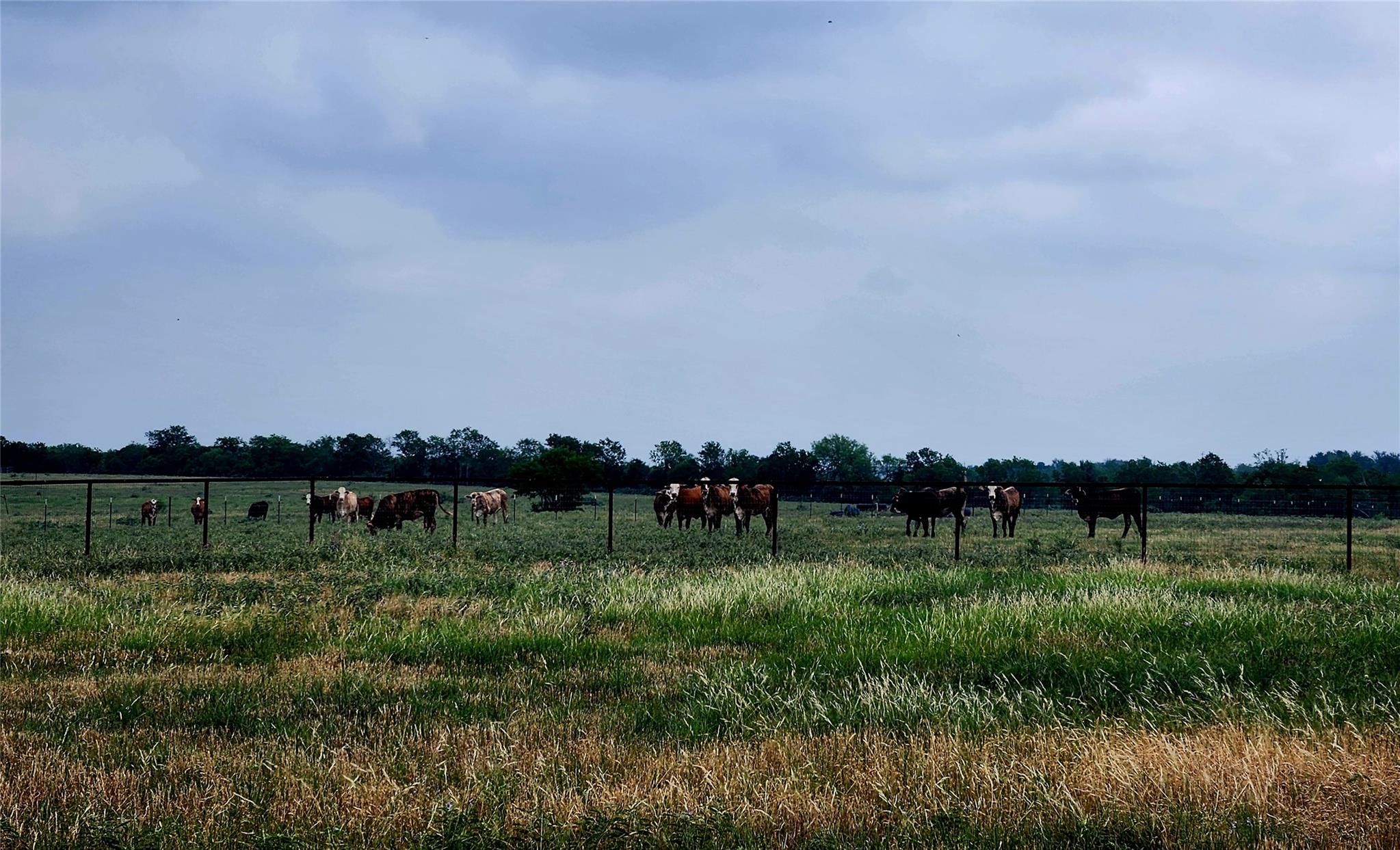 Ranch