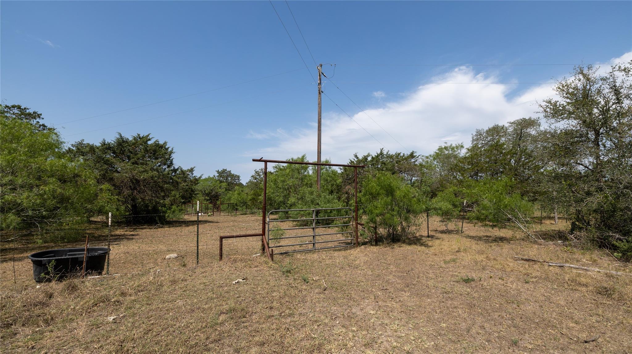 Photo 27
