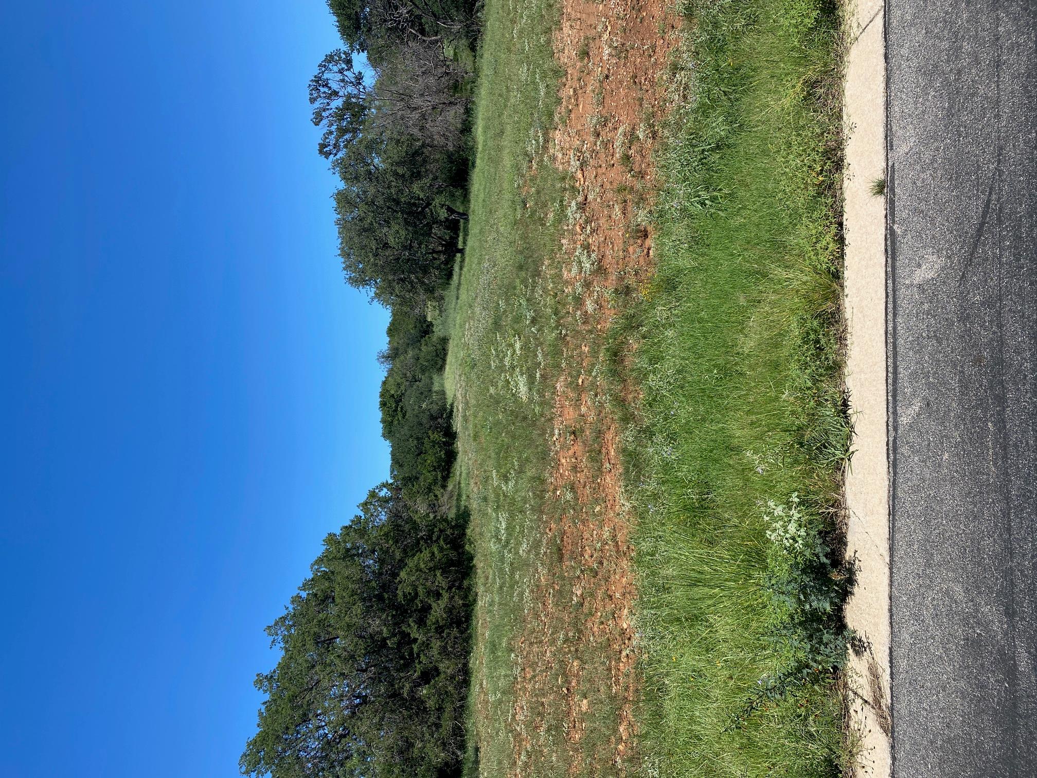 W25058 ApacheTears/White