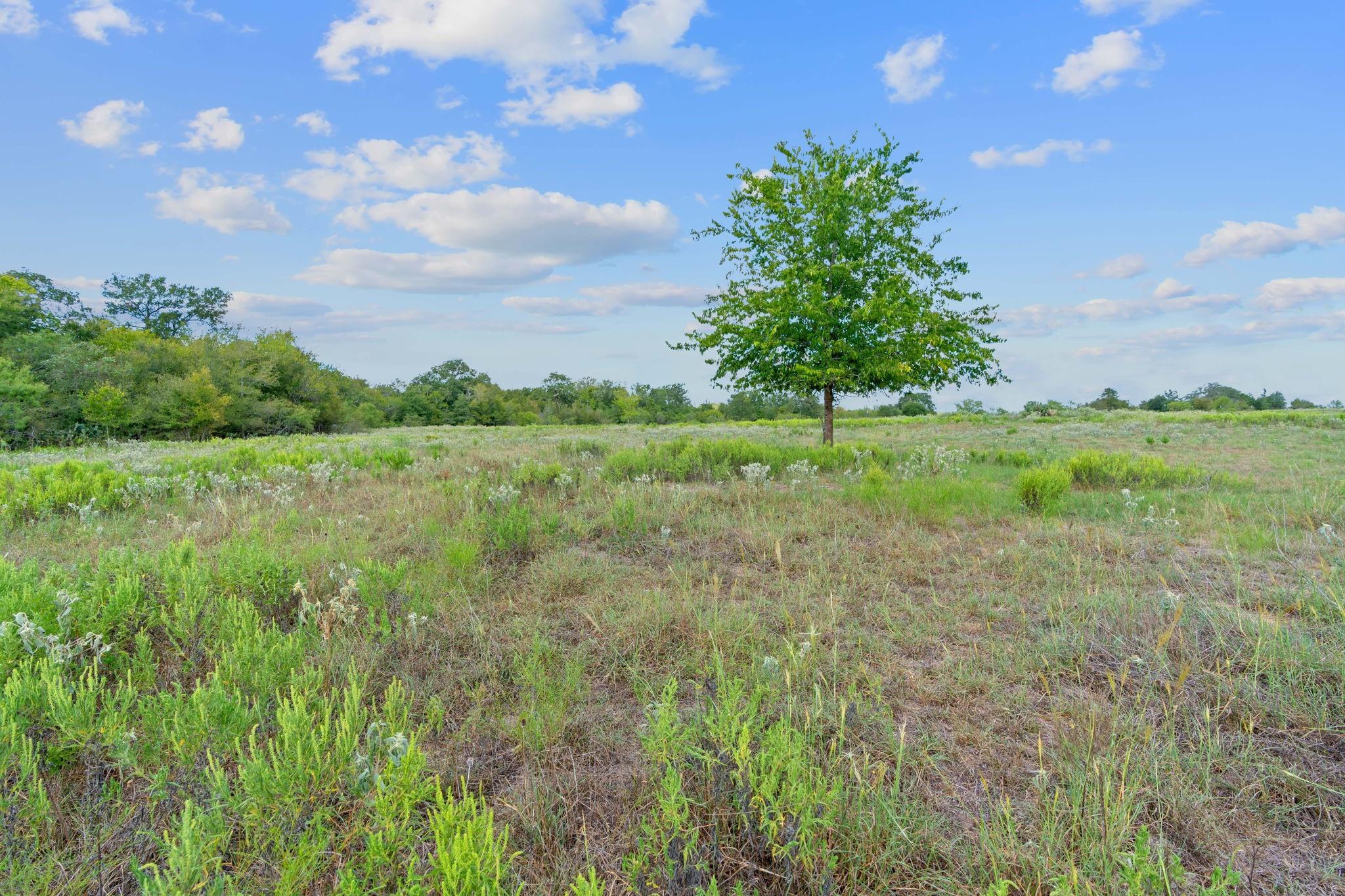 Lot 6 Private Road 4511