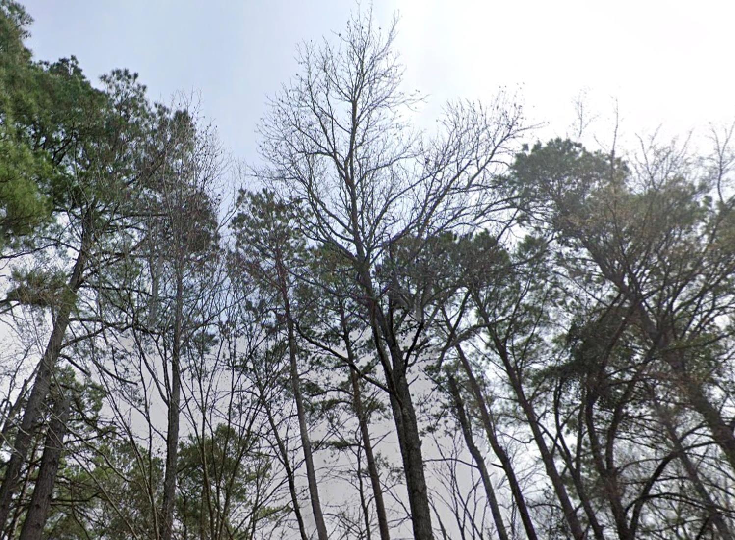 Multiple Lots (Adjacent)