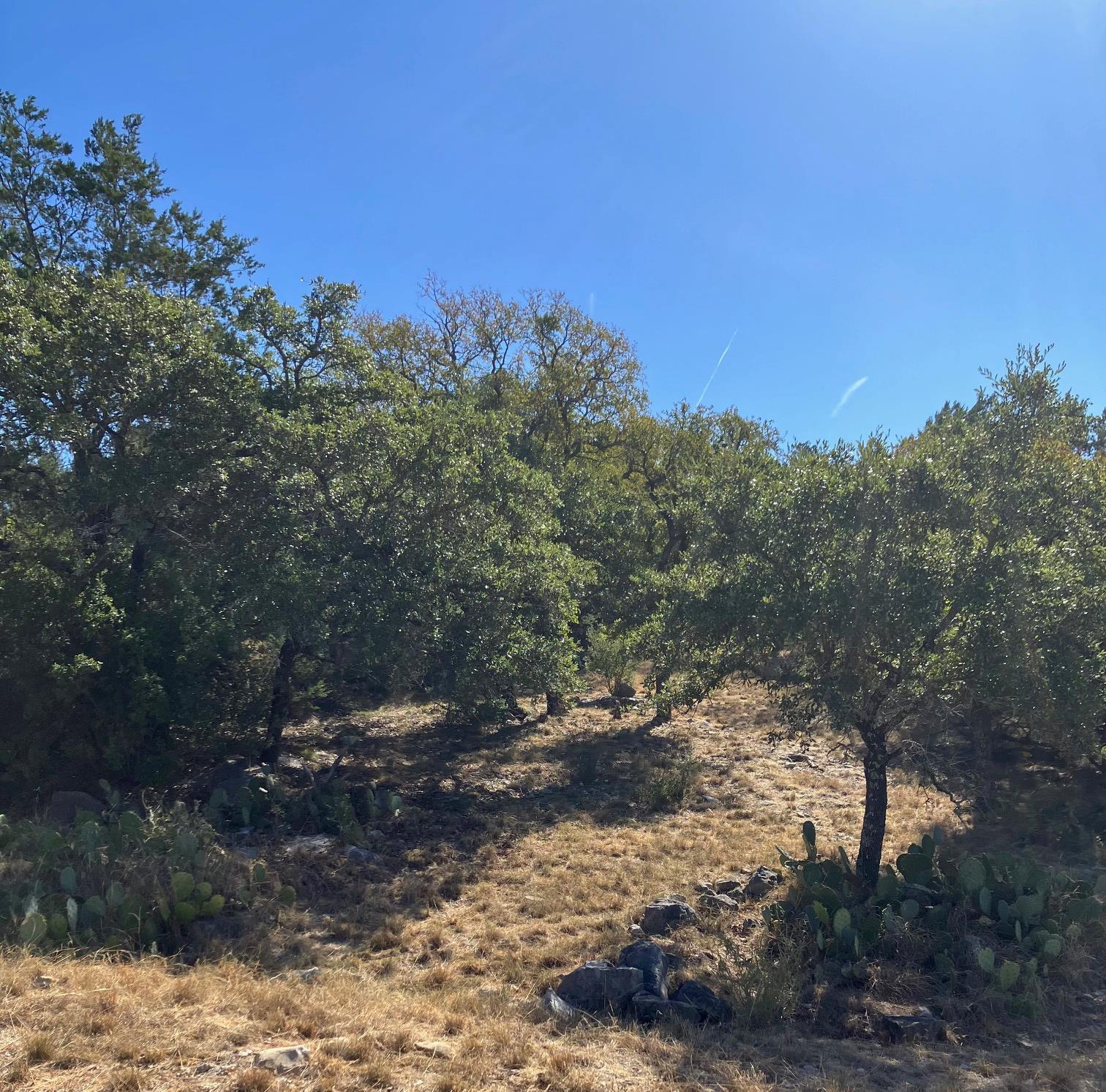 405 Yucca at Quick Draw