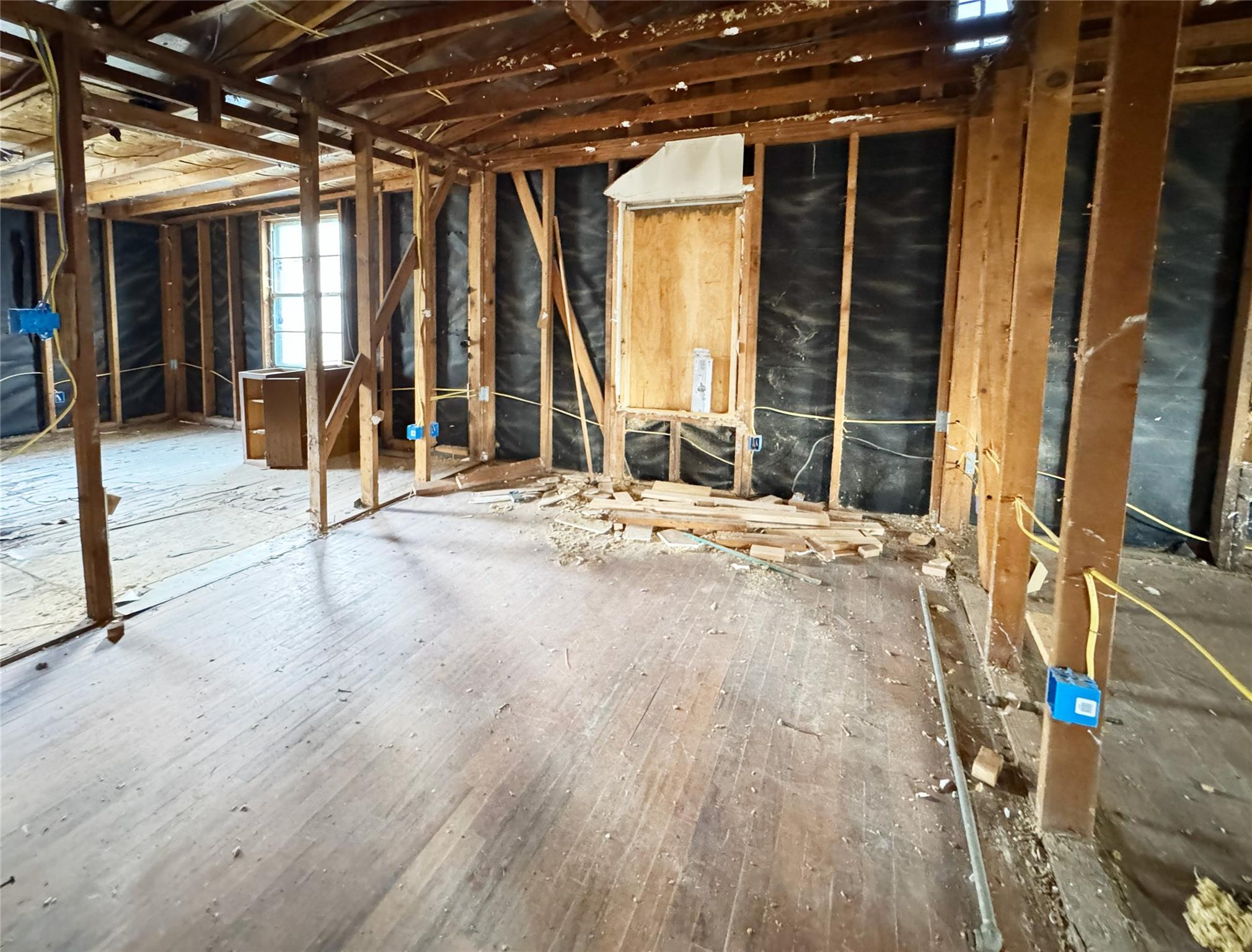 Photo 11