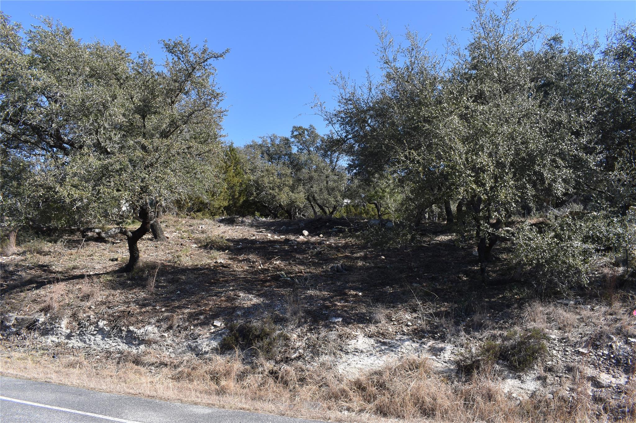 Unimproved Land