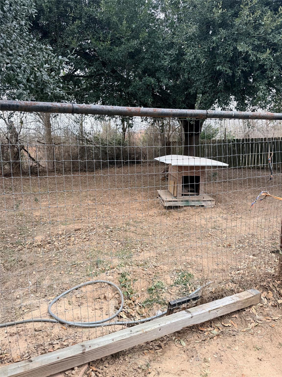 Photo 27