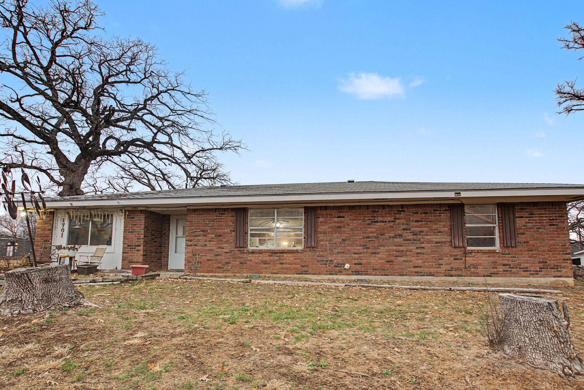 Photo 5