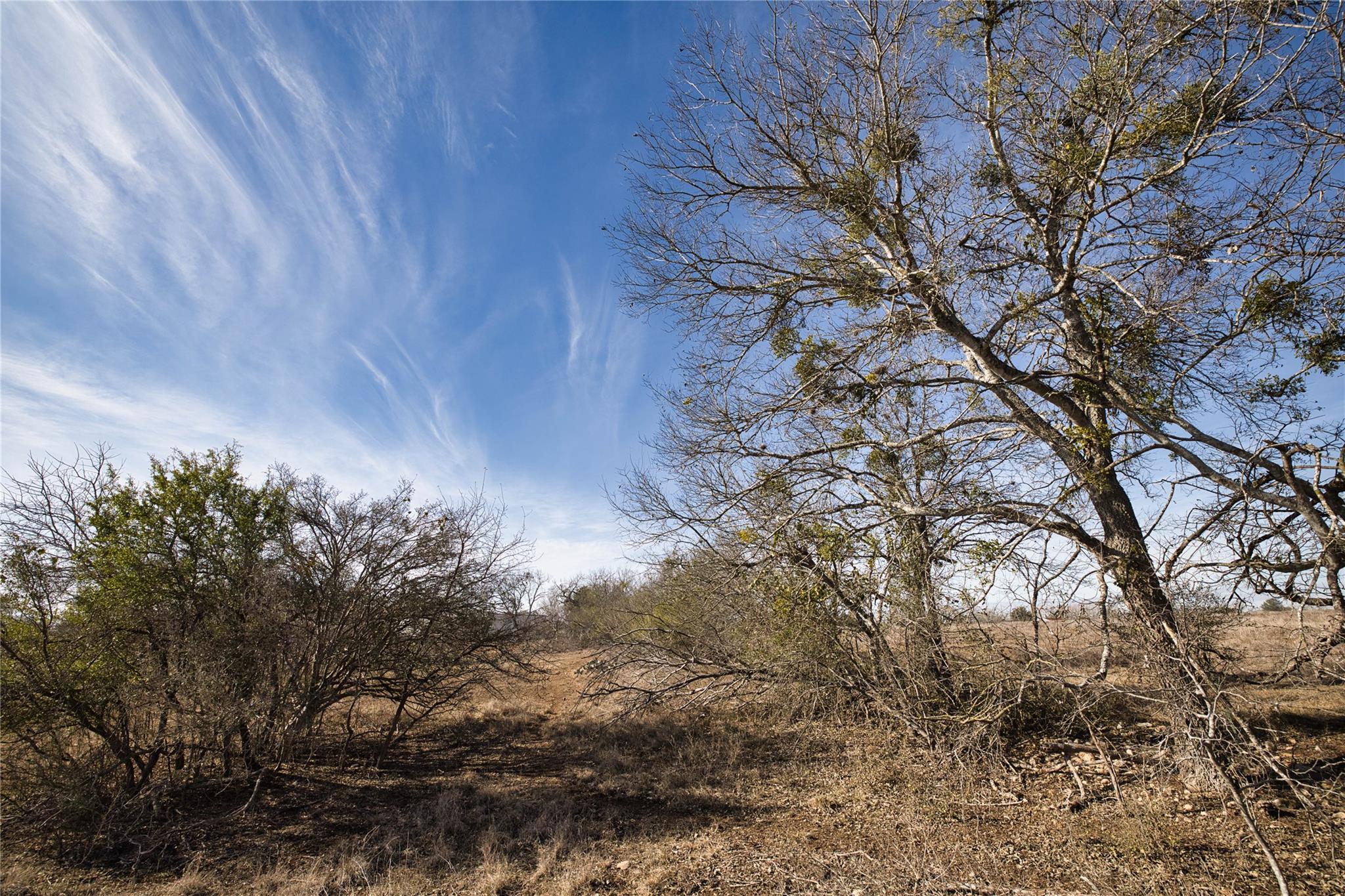 Unimproved Land