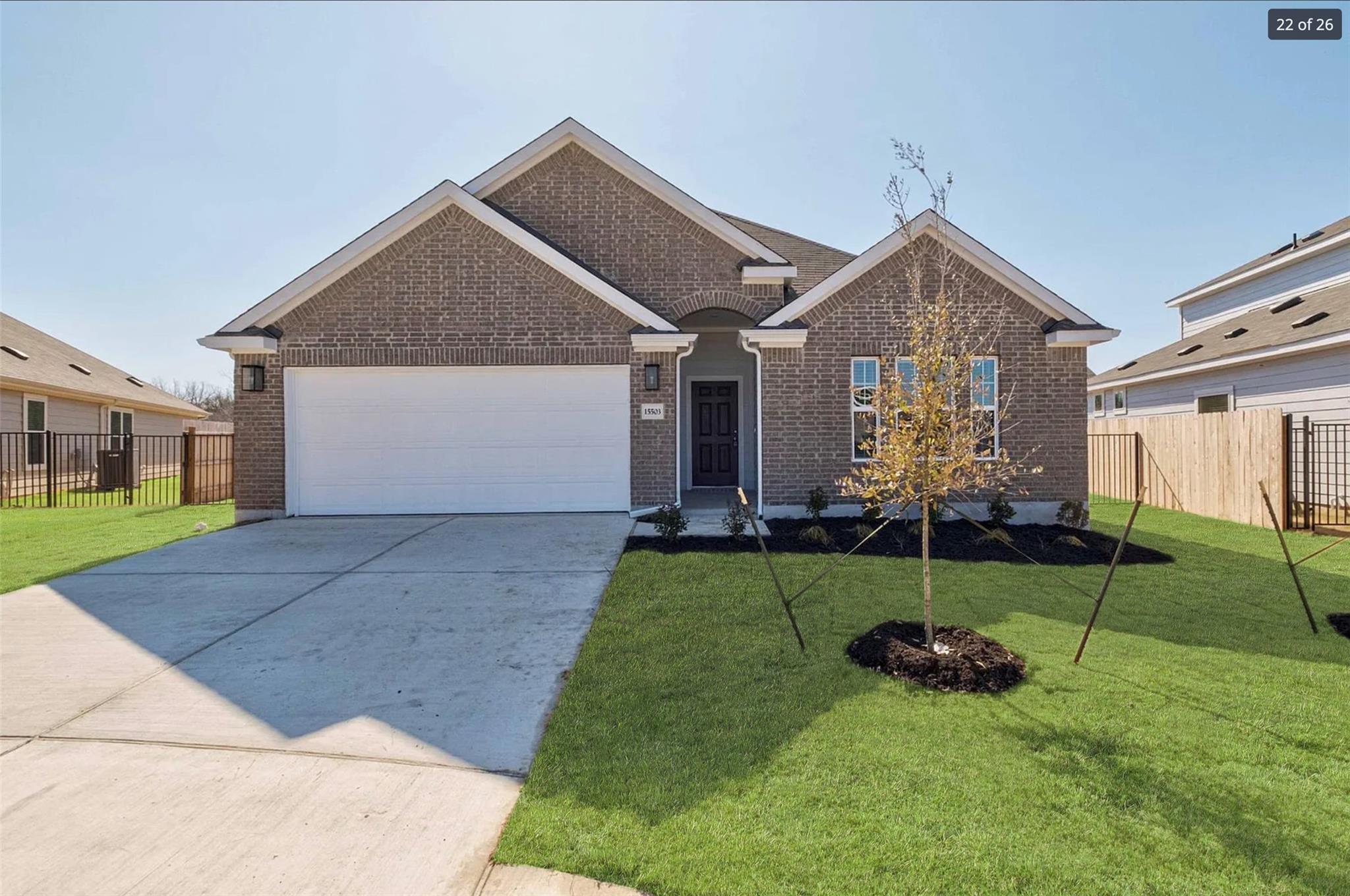 15503 Lustrous Amber